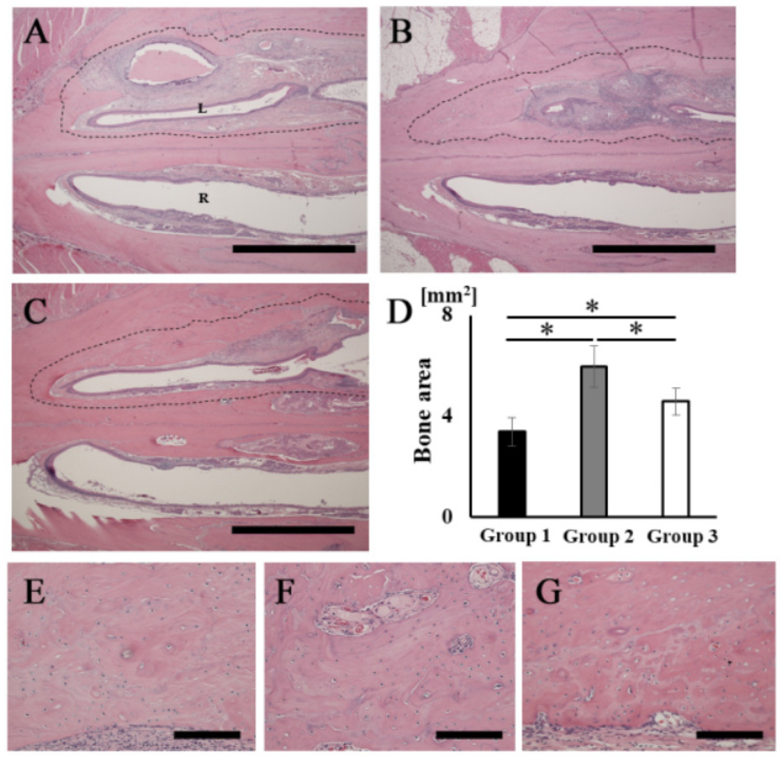 Materials 14 02306 g005 Materials 14 02306 g005