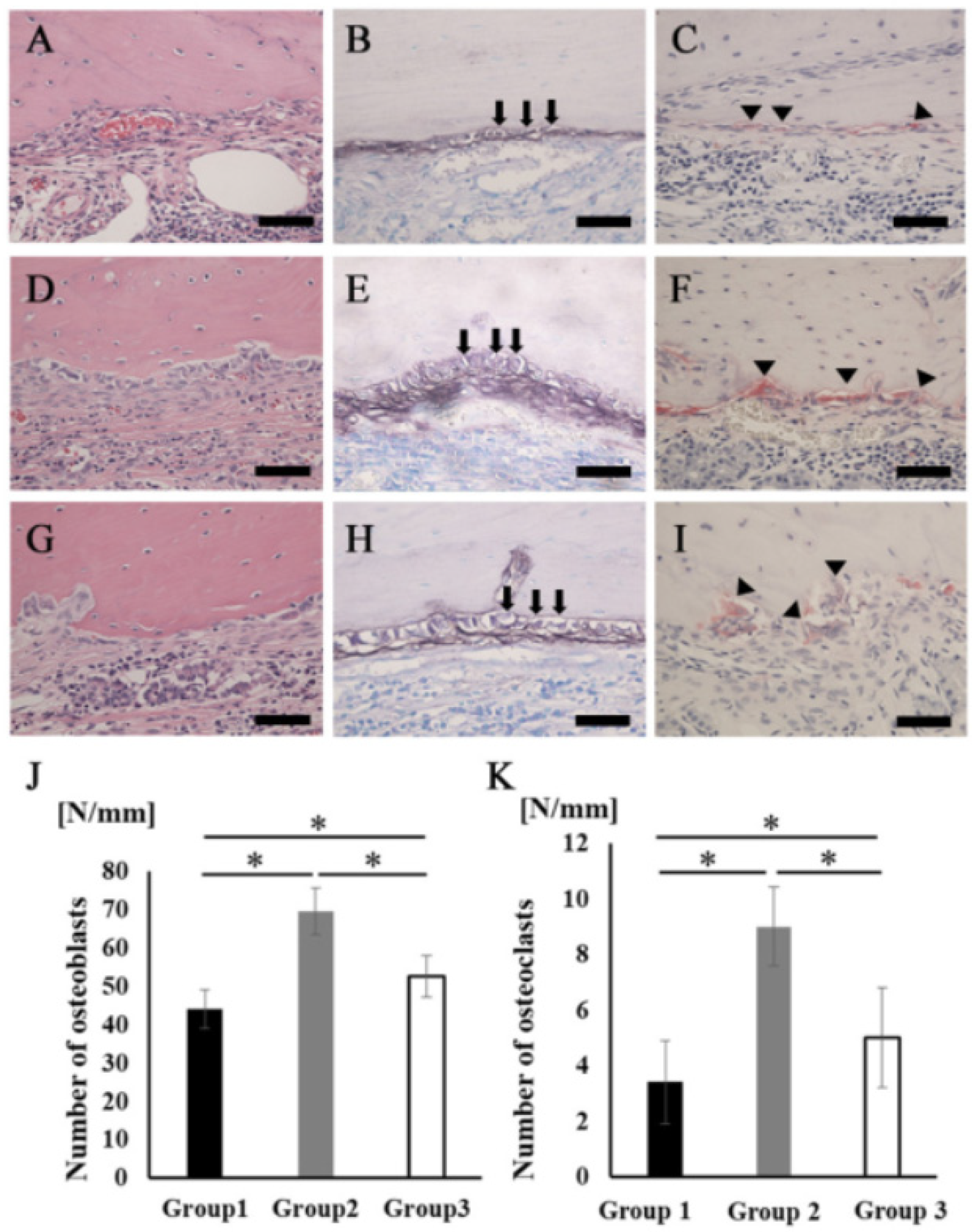 Materials 14 02306 g006 Materials 14 02306 g006