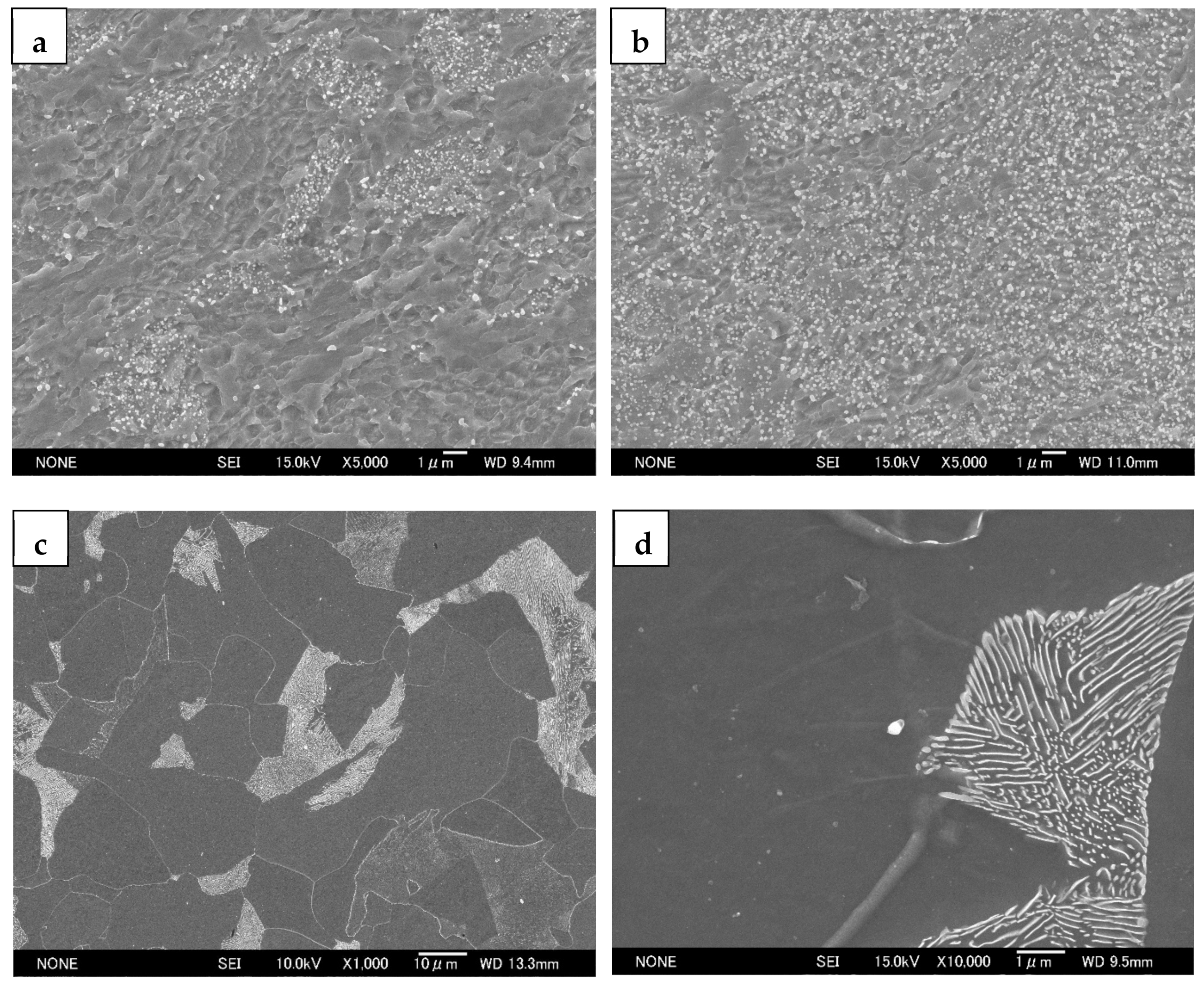 Materials 14 02309 g001