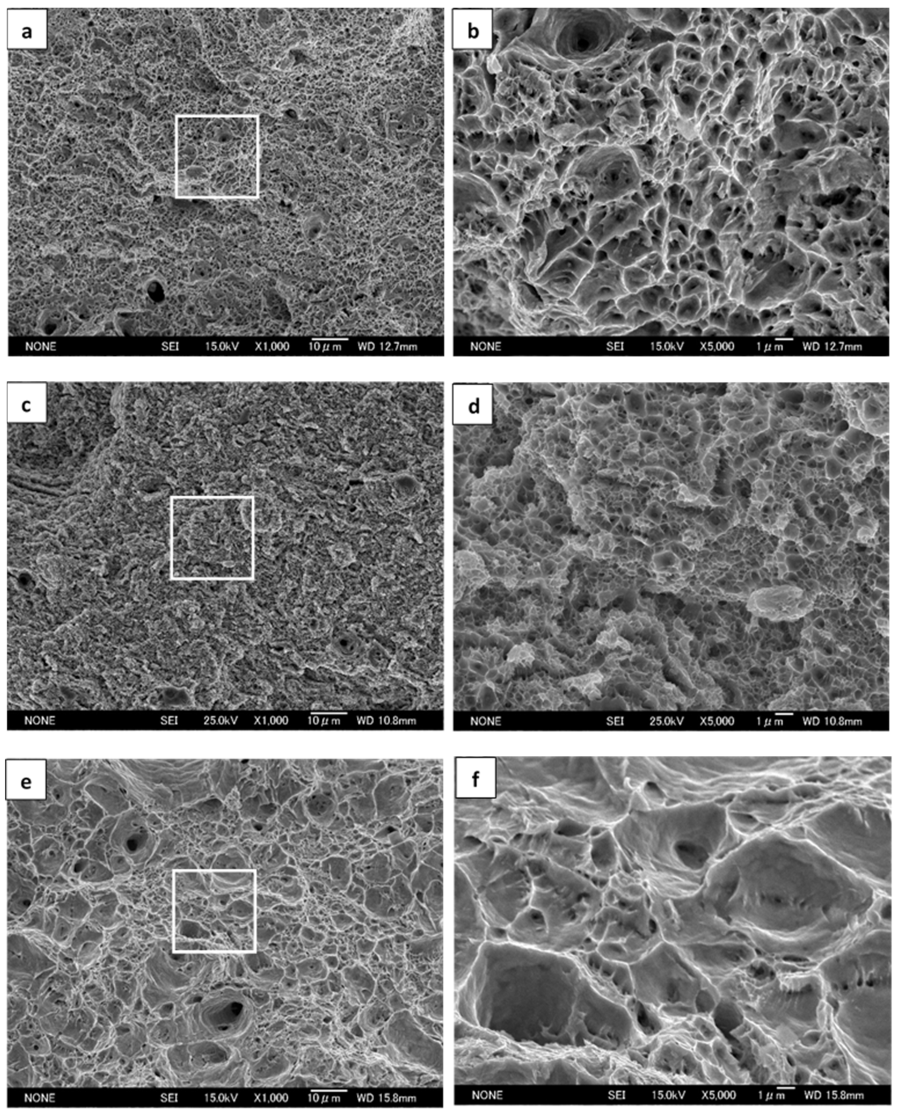 Materials 14 02309 g005