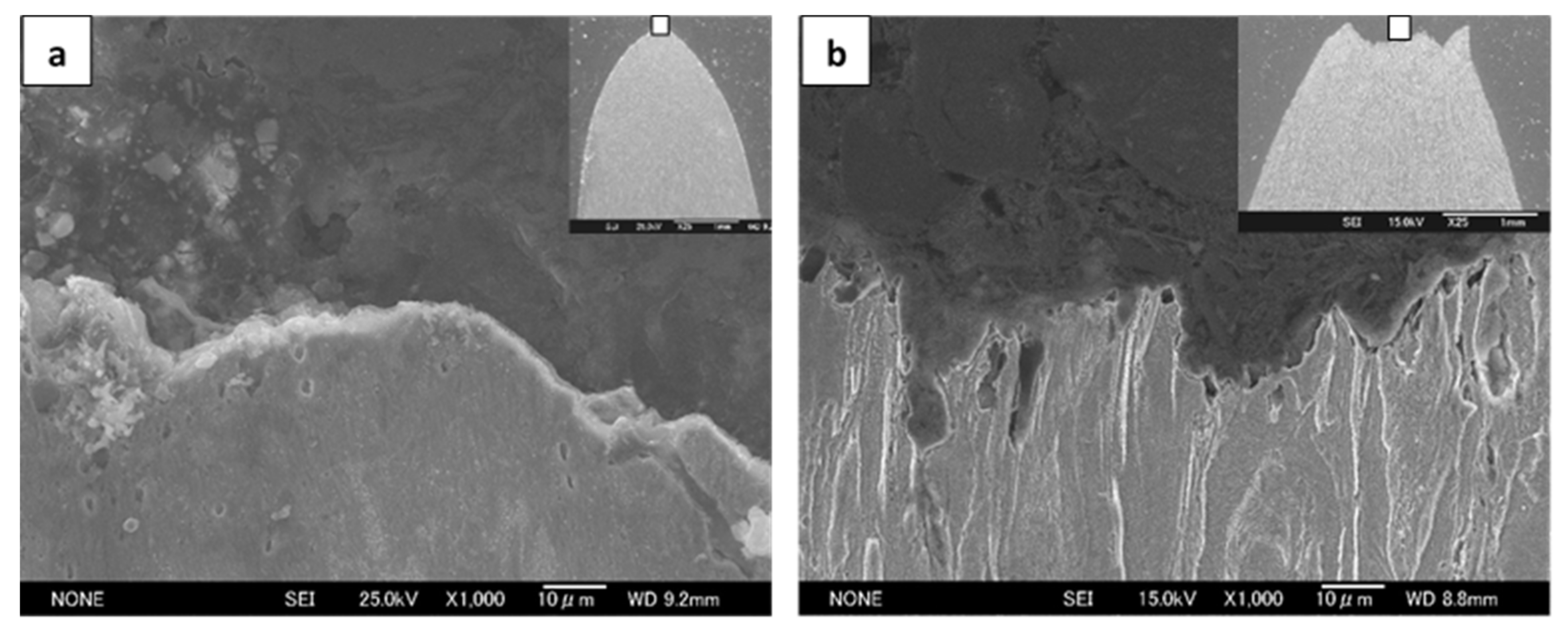 Materials 14 02309 g006