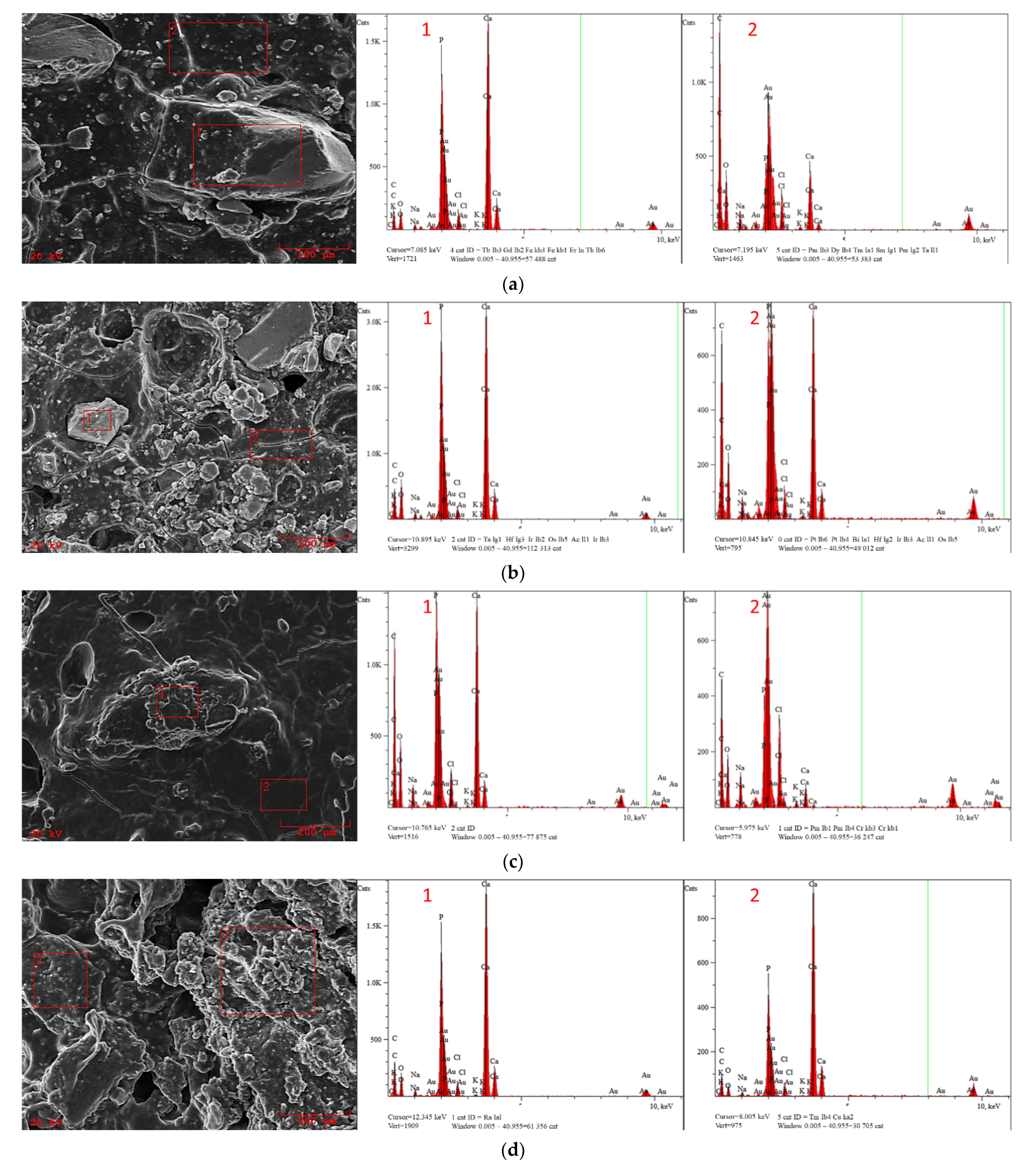 Materials 14 02317 g007a Materials 14 02317 g007a