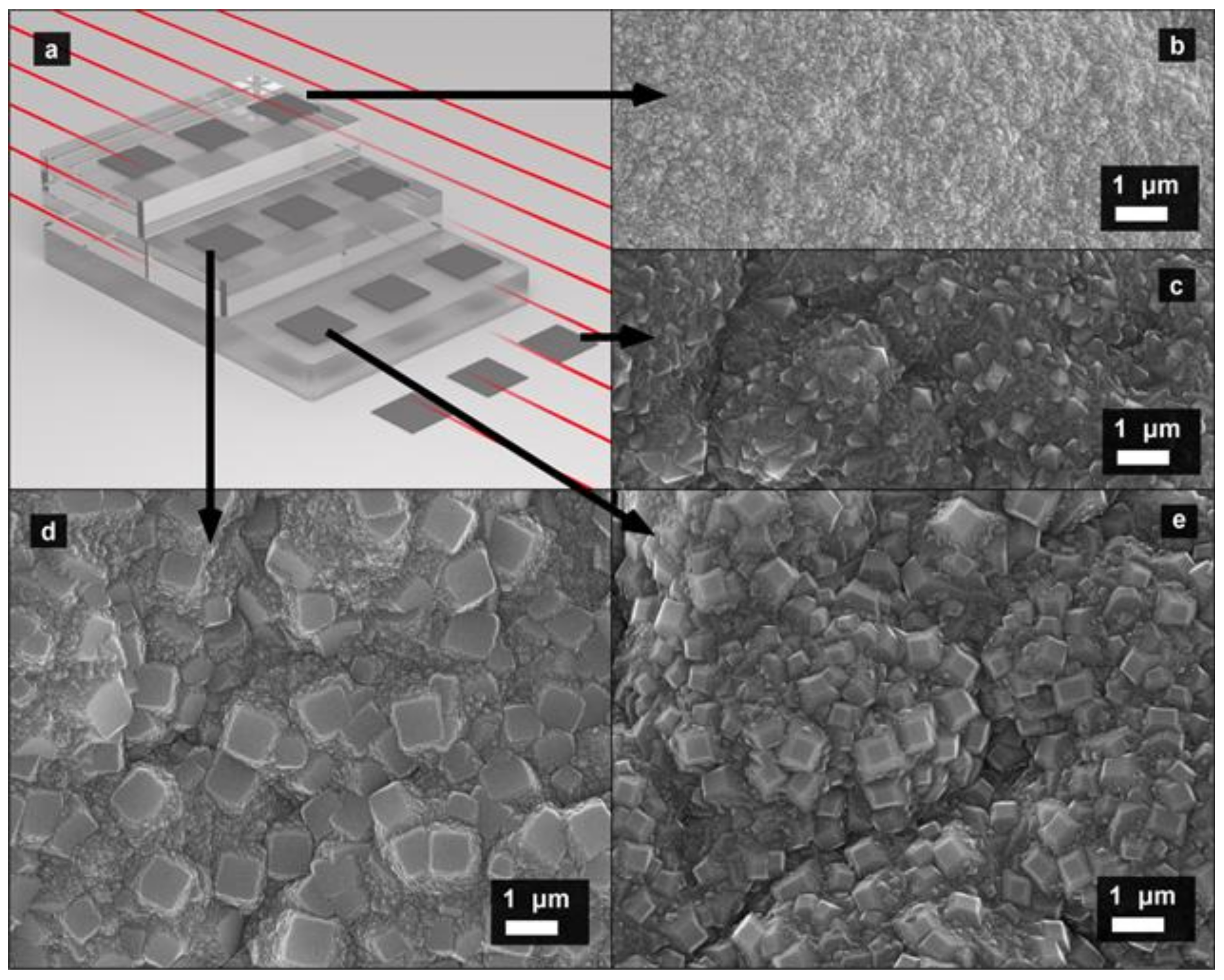 Materials 14 02320 g001