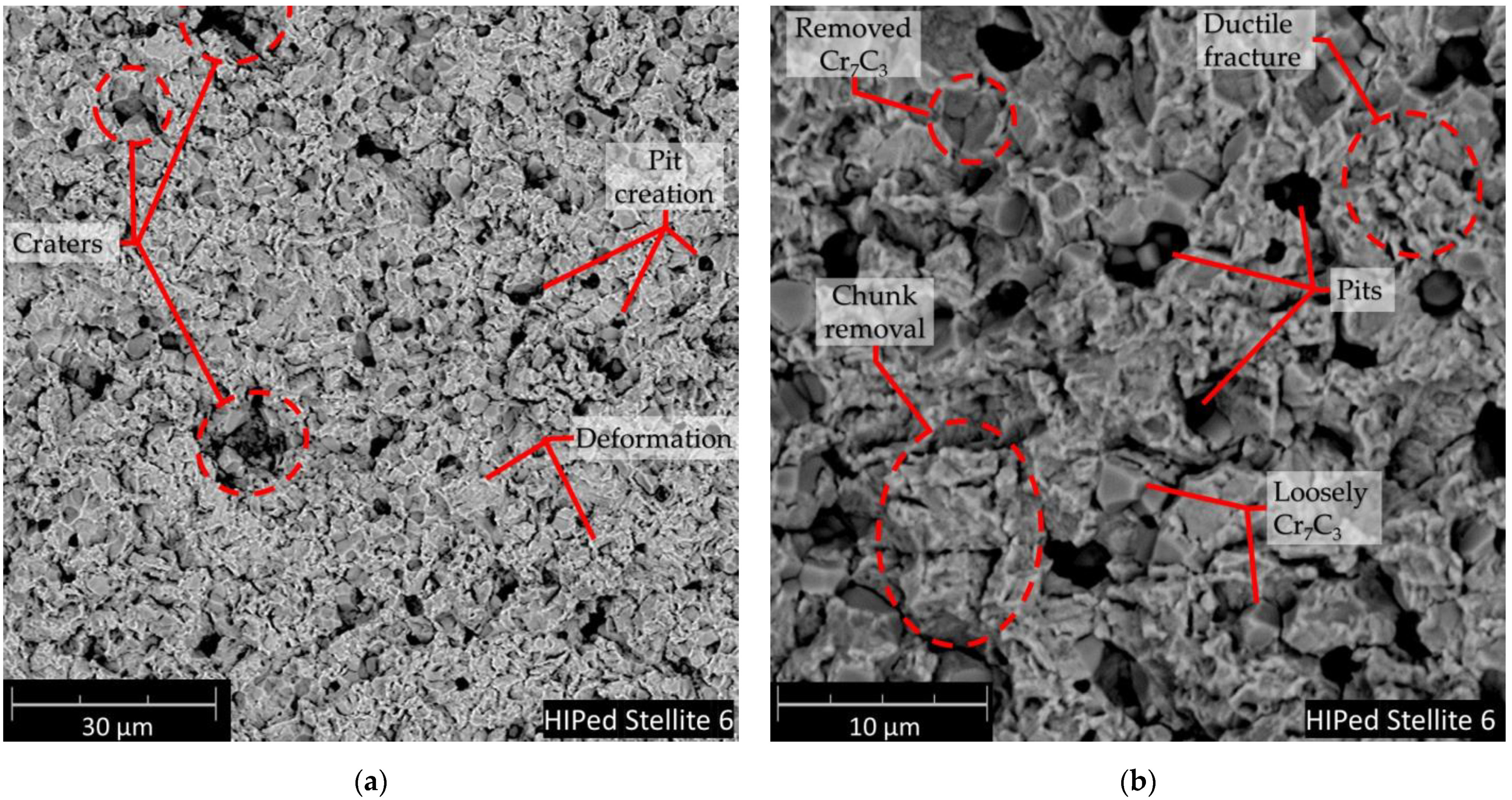 Materials 14 02324 g010