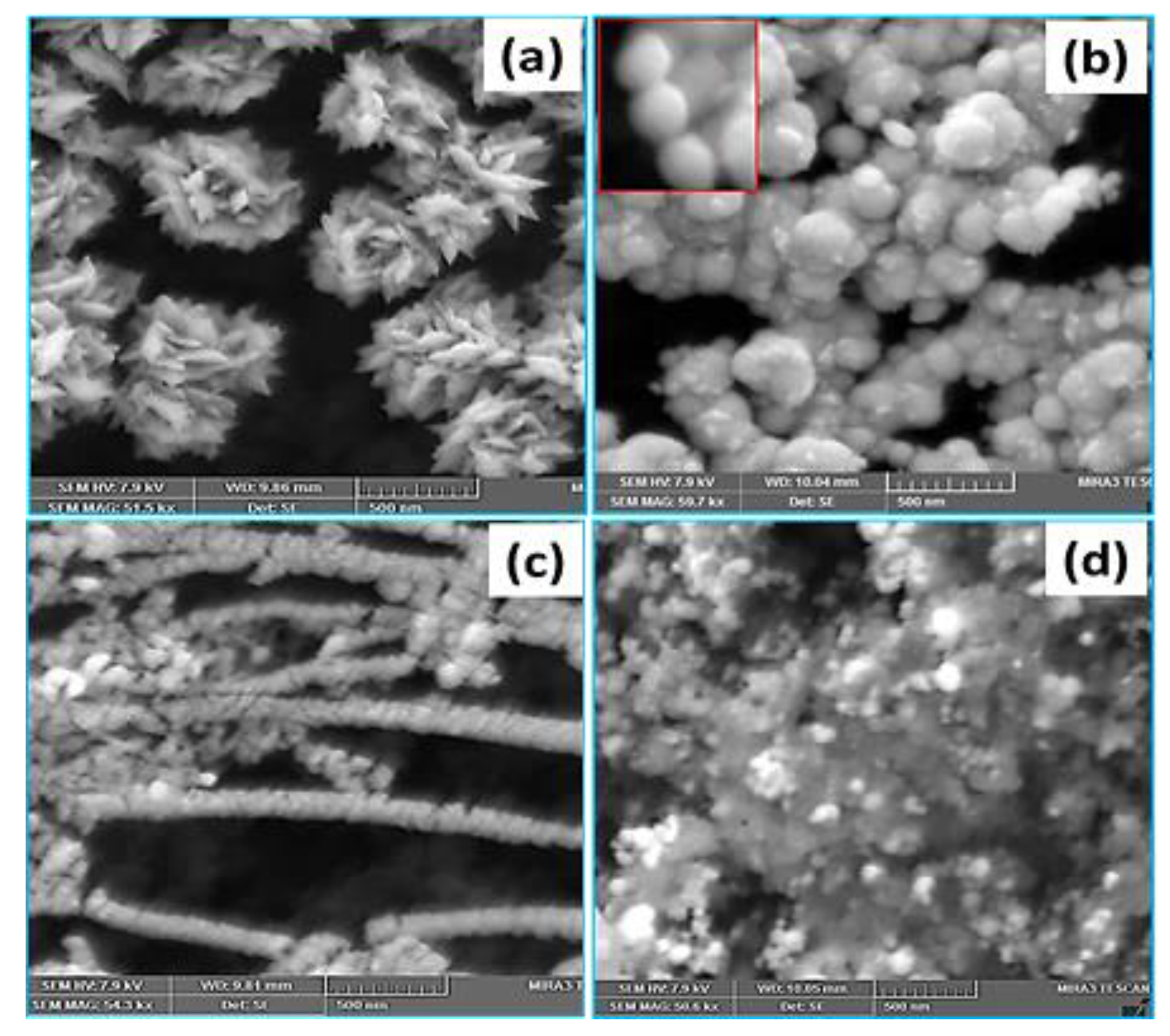 Materials 14 02330 g005