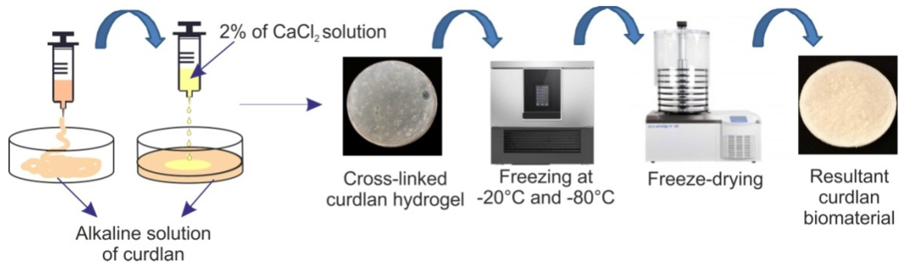 Materials 14 02344 g001