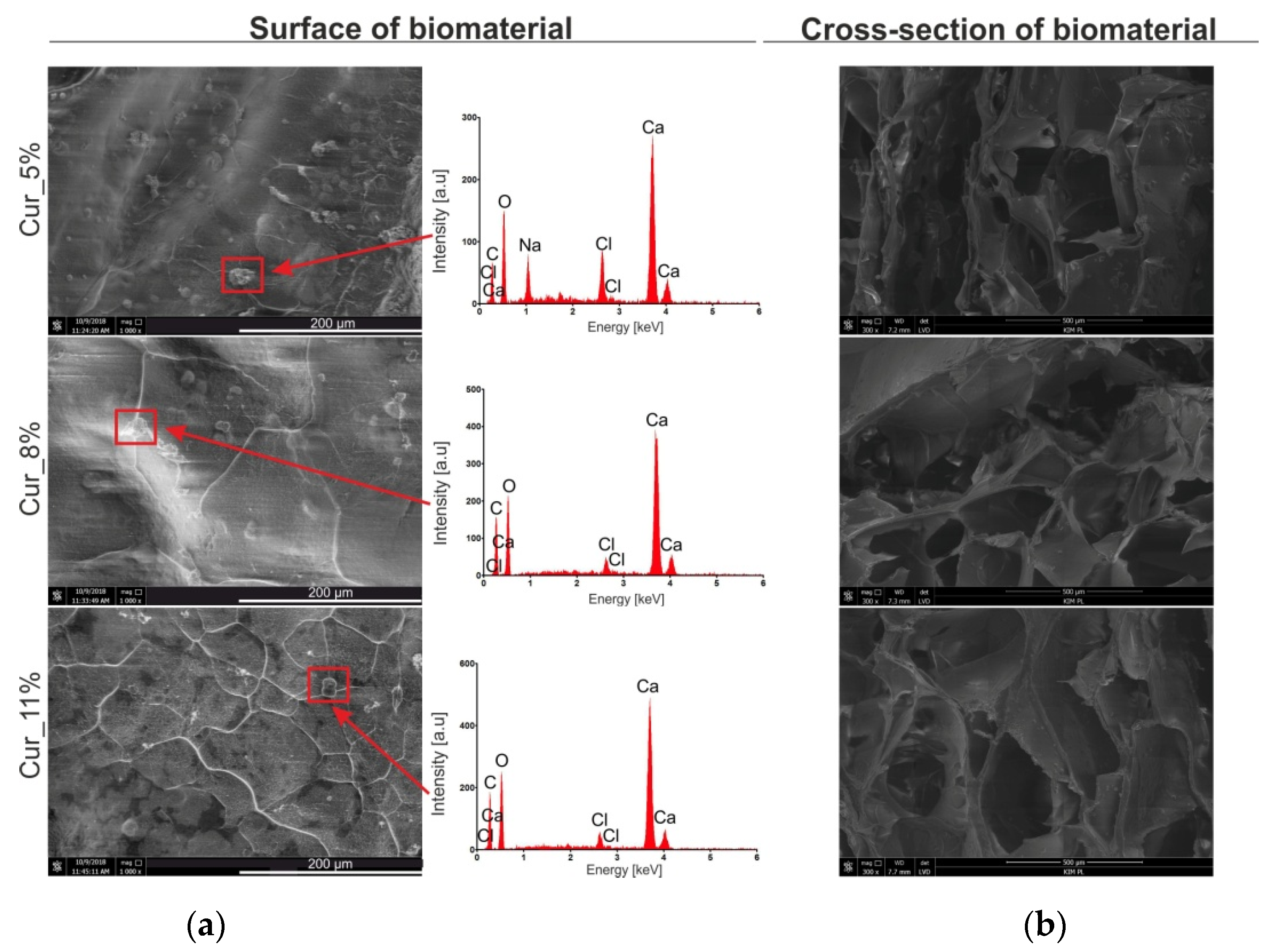 Materials 14 02344 g002