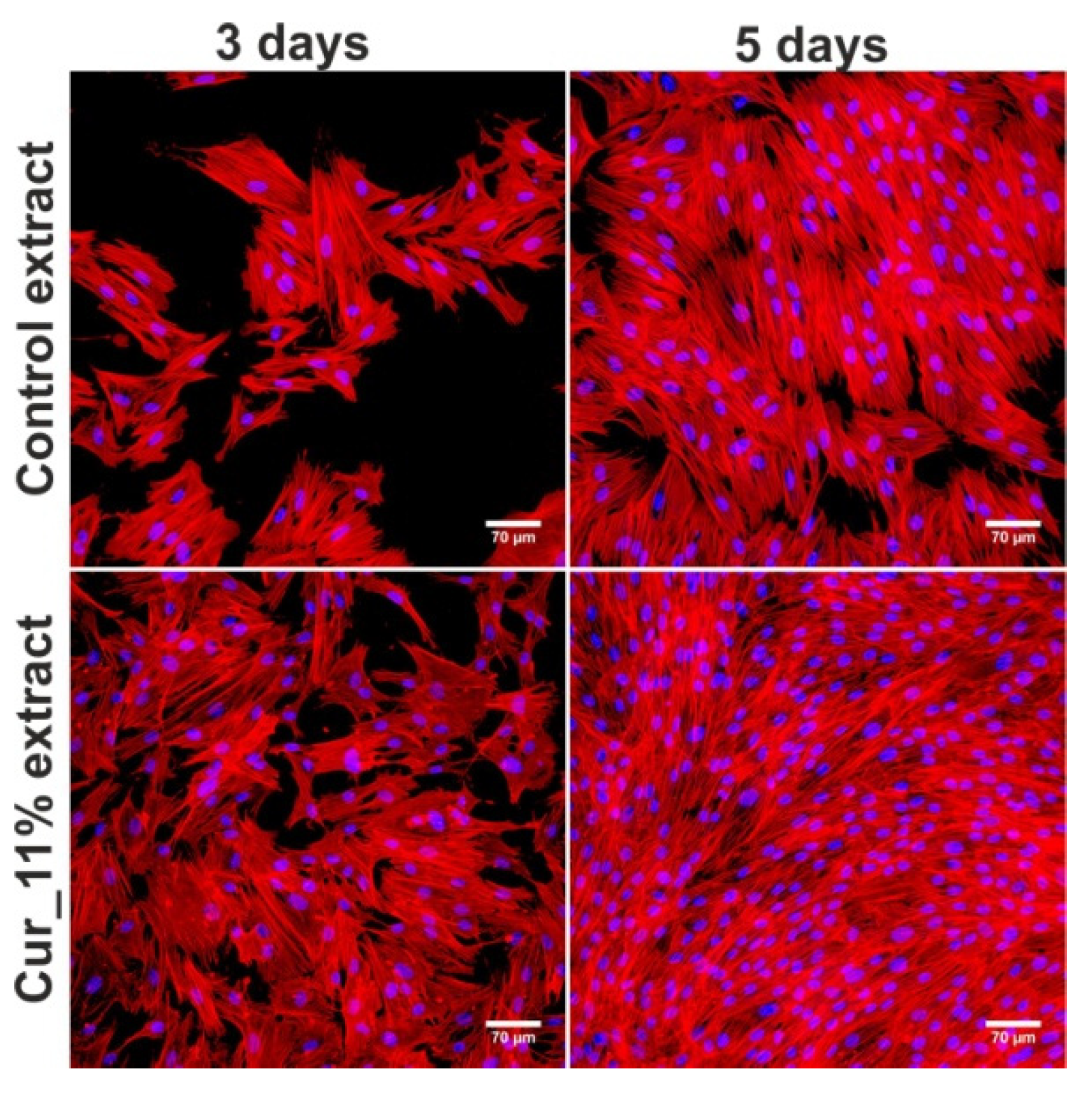 Materials 14 02344 g008