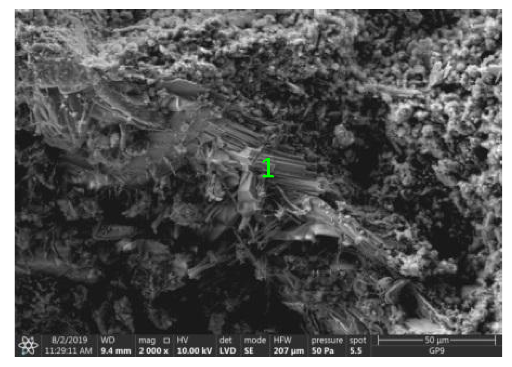 Materials 14 02345 g018