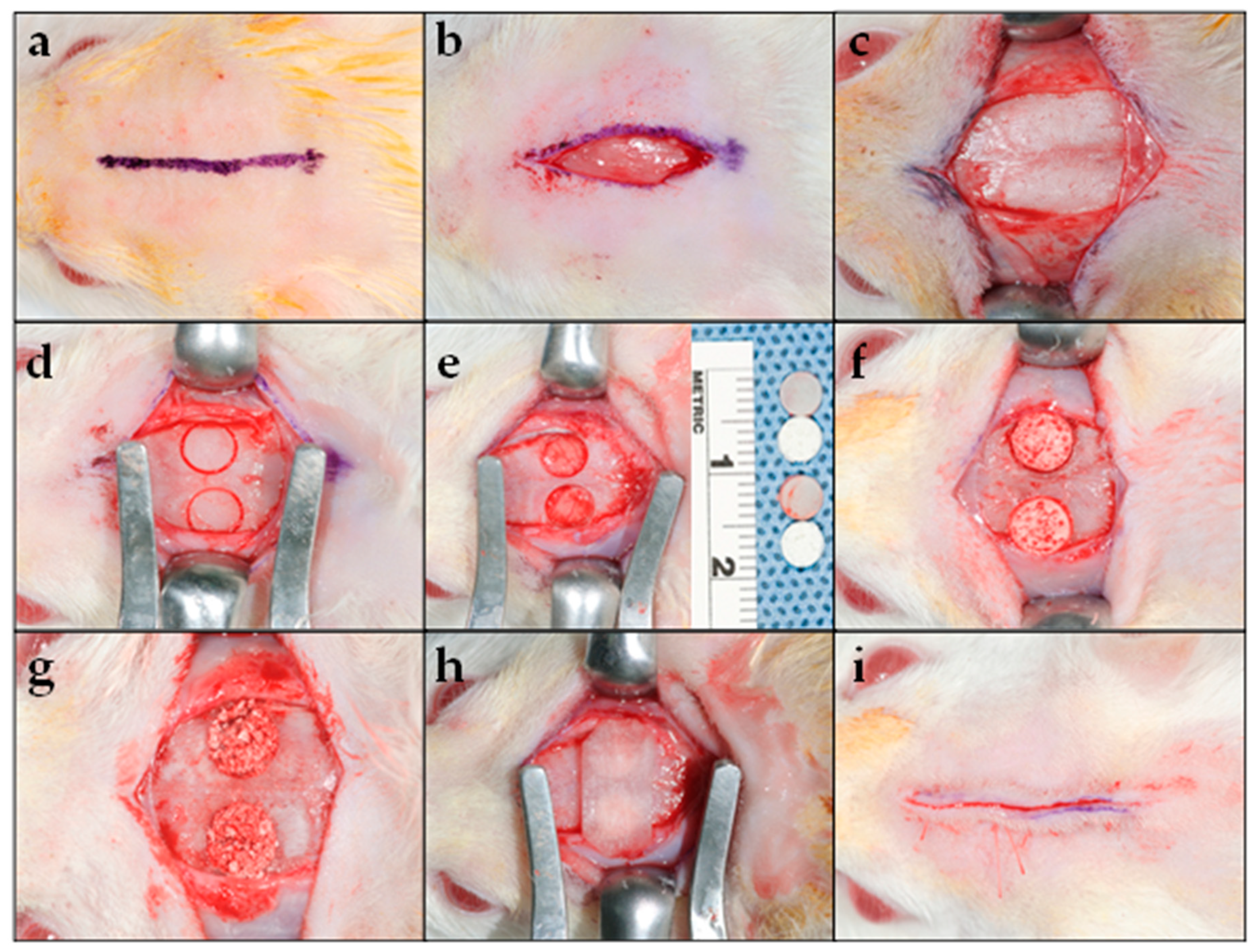 Materials 14 02384 g001