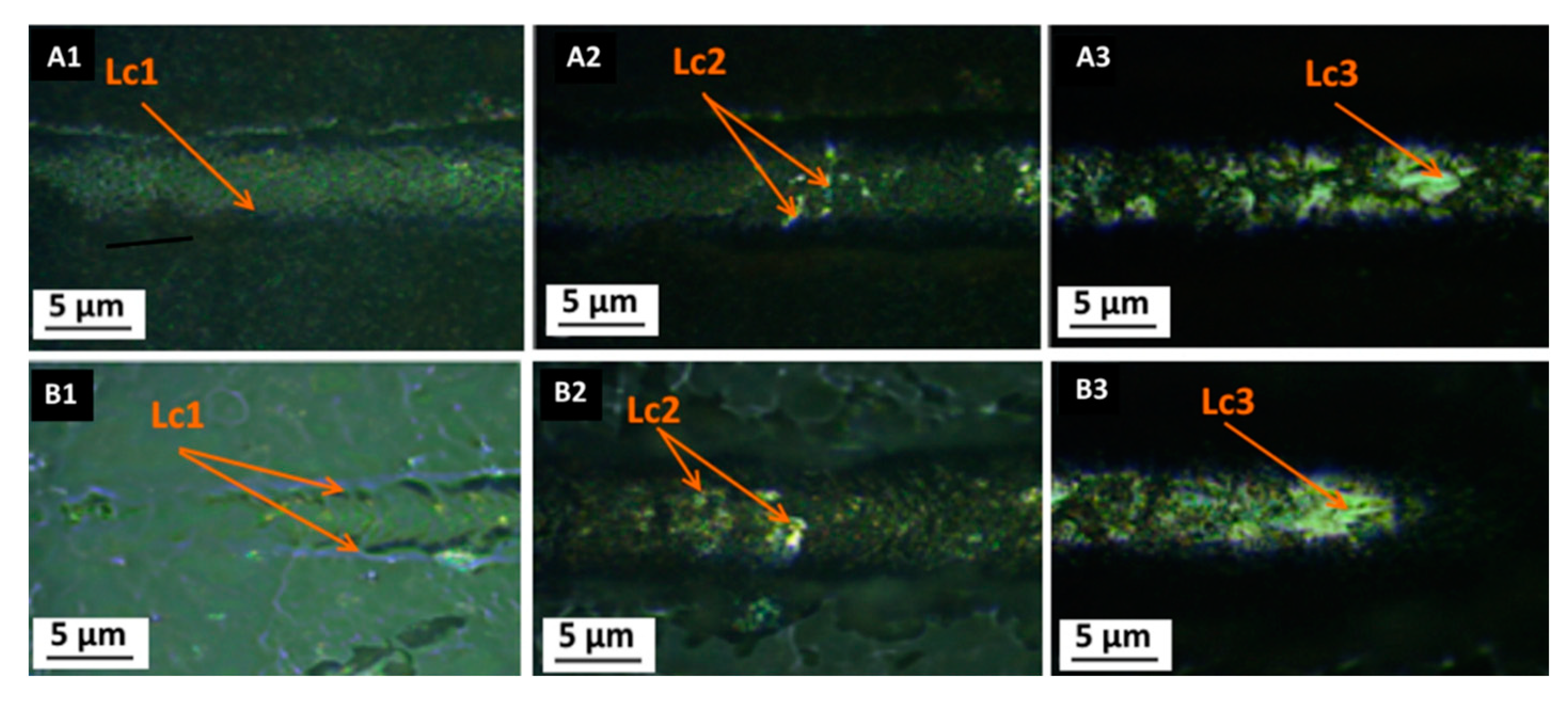 Materials 14 02389 g006