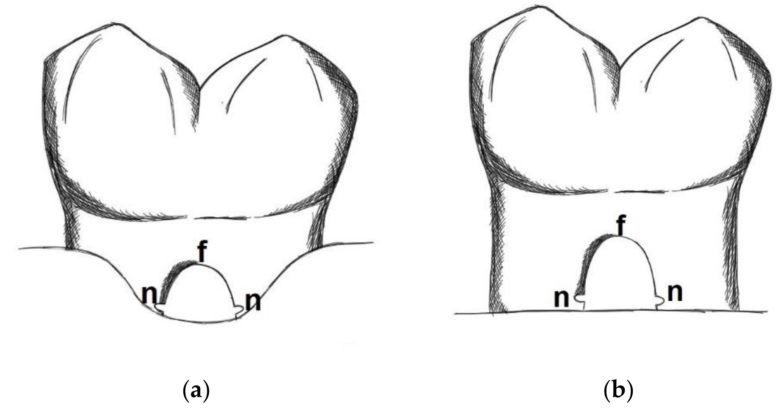Materials 14 02420 g001