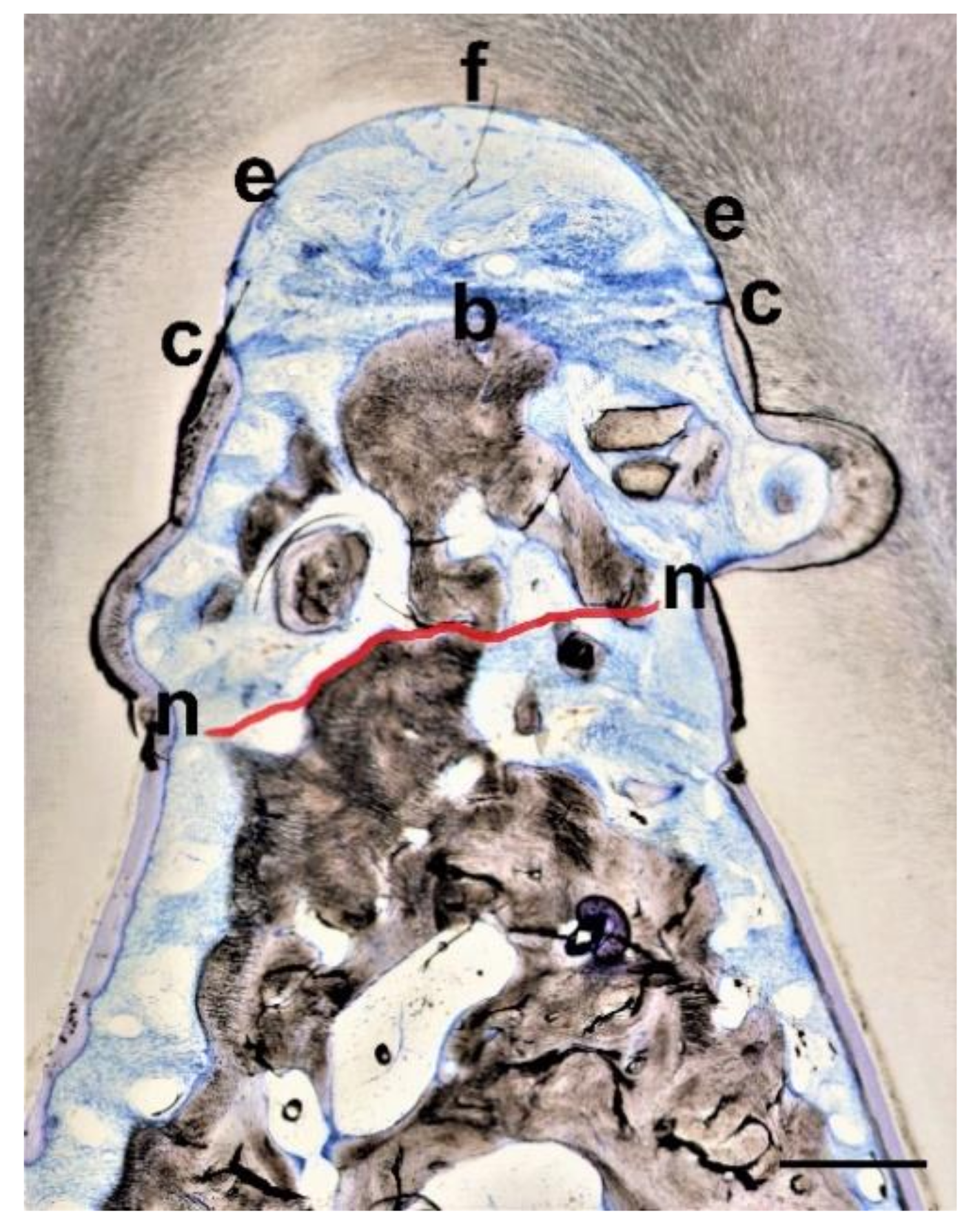 Materials 14 02420 g002