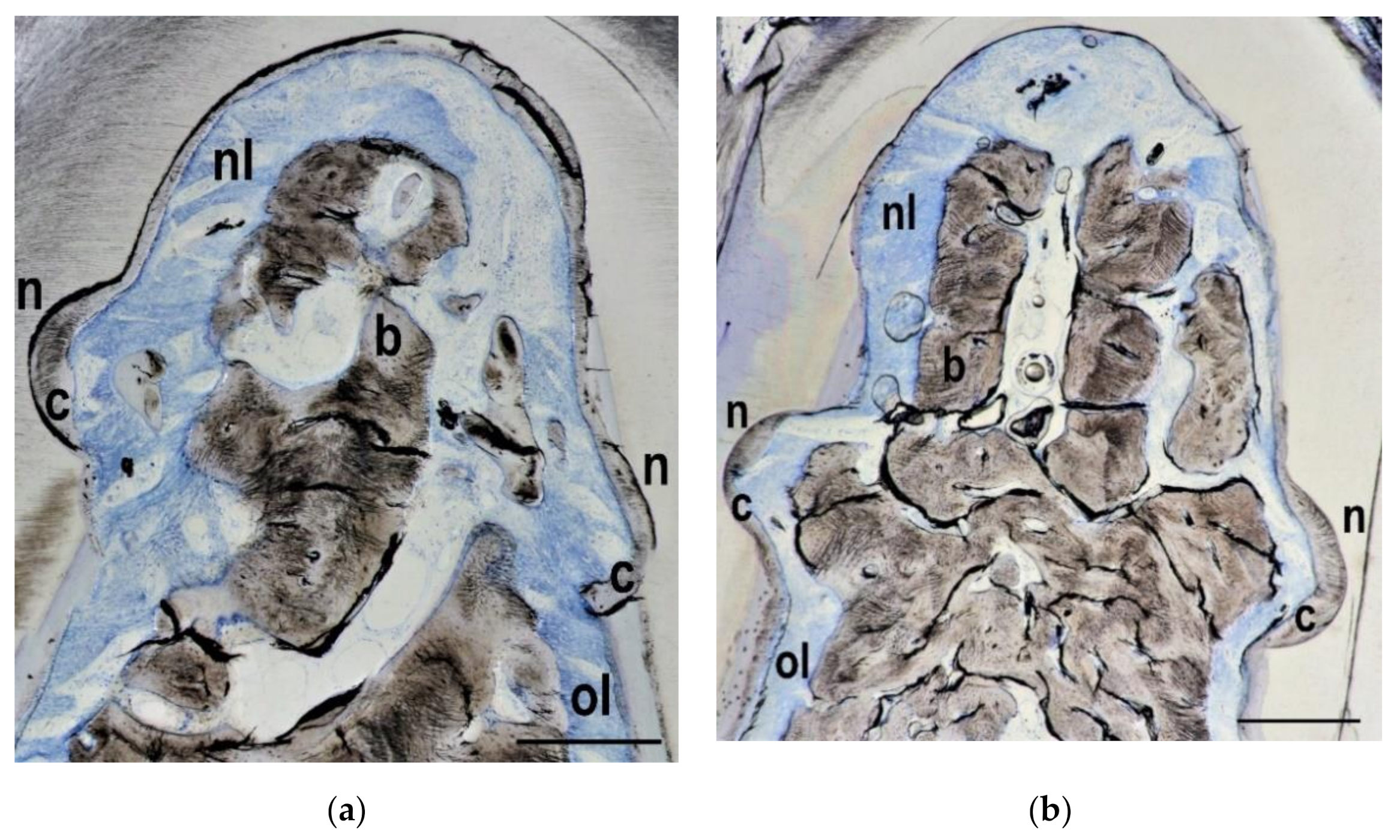 Materials 14 02420 g003
