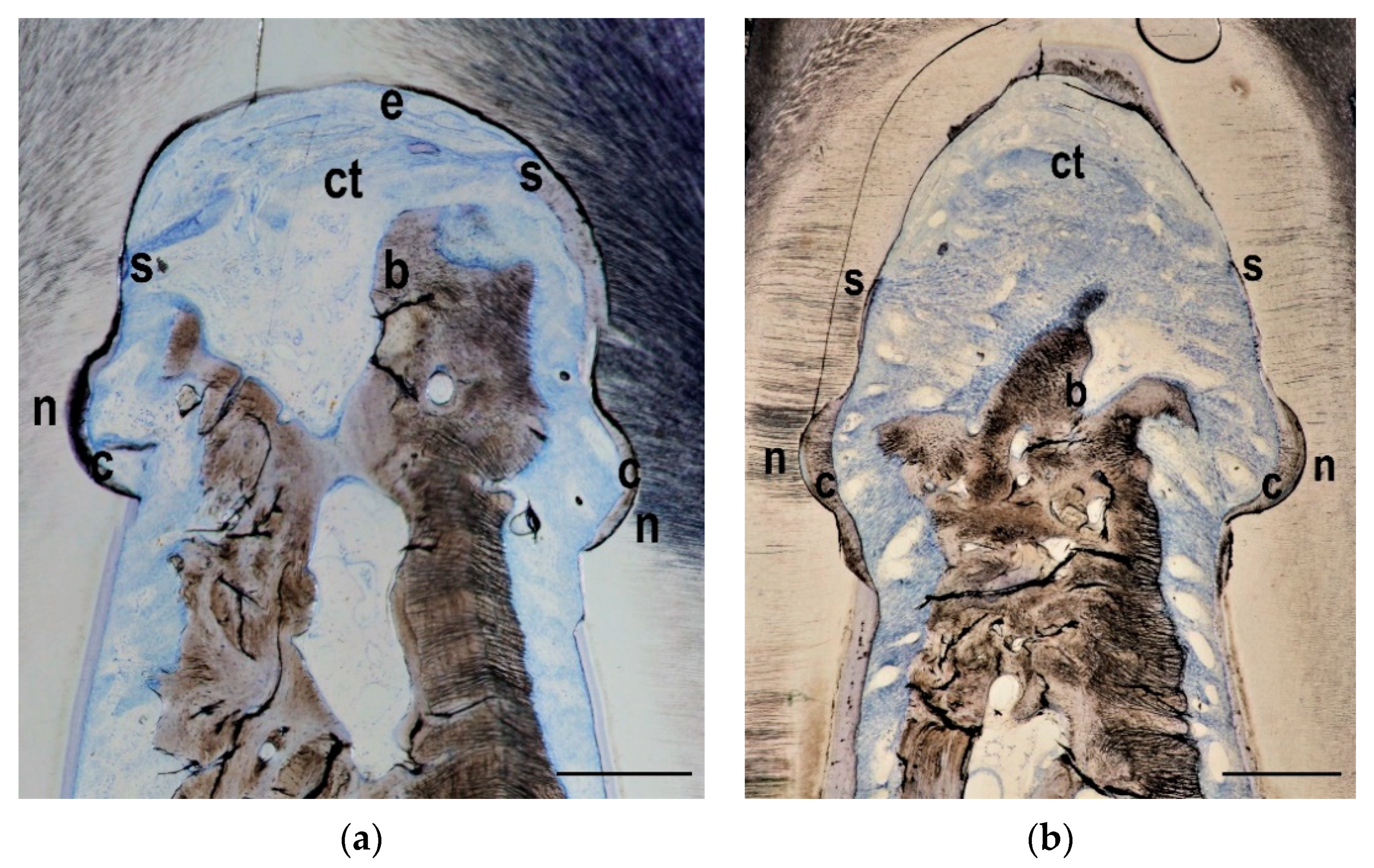 Materials 14 02420 g004