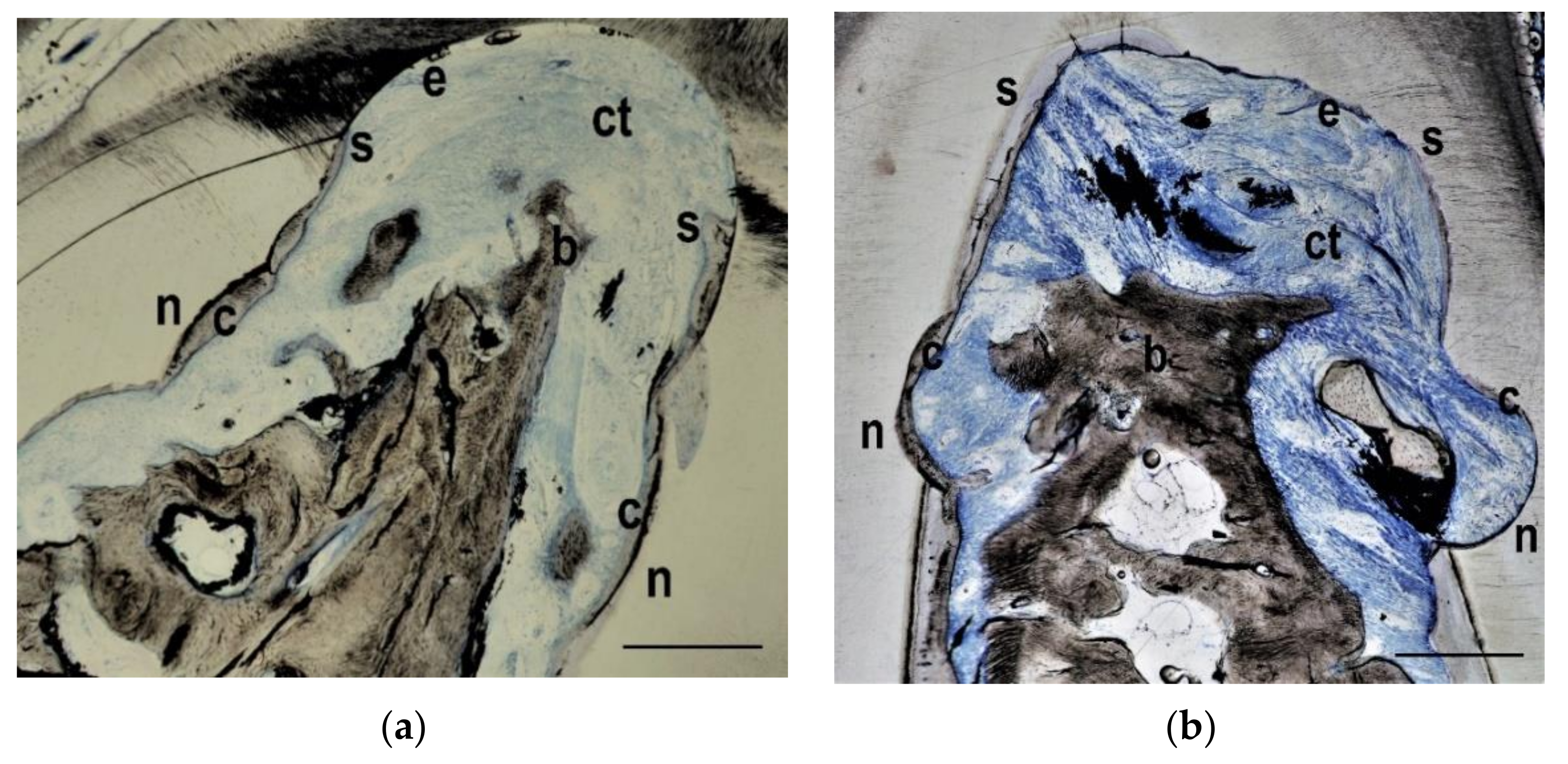 Materials 14 02420 g005
