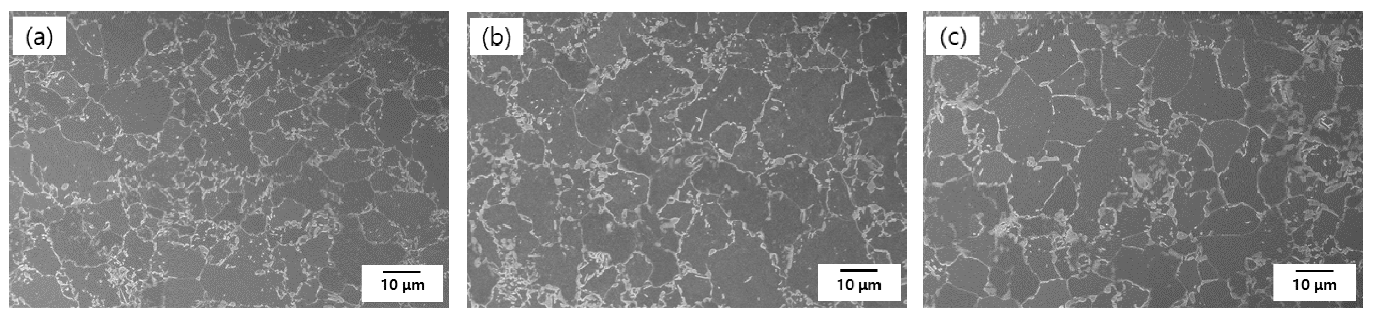 Materials 14 02444 g001