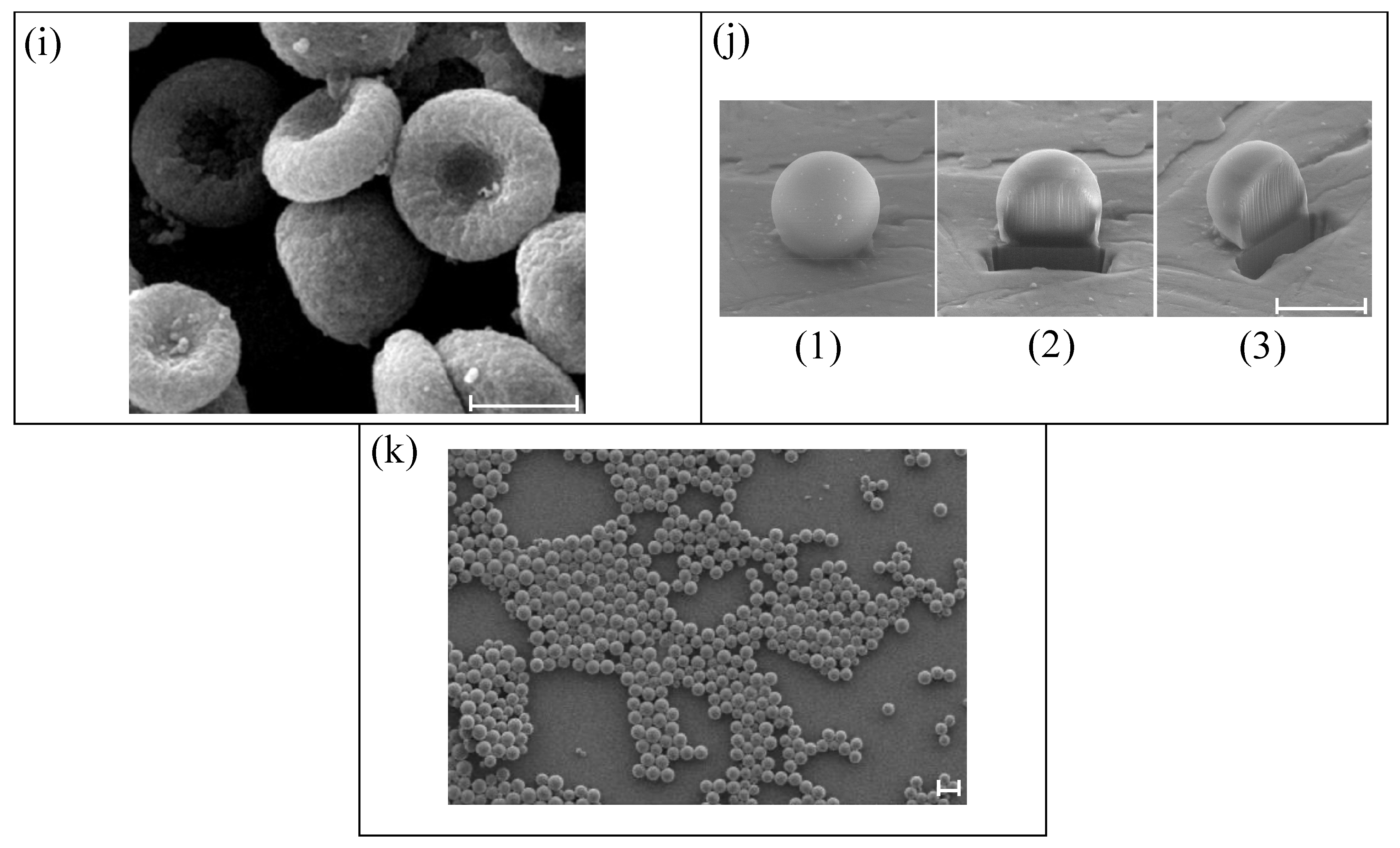 Materials 14 02451 g002b