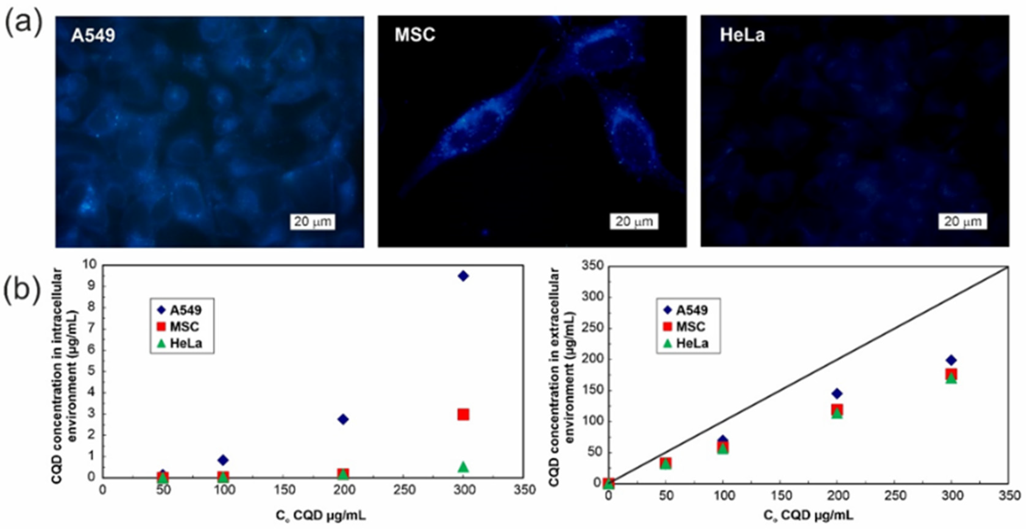 Materials 14 02454 g006 Materials 14 02454 g006