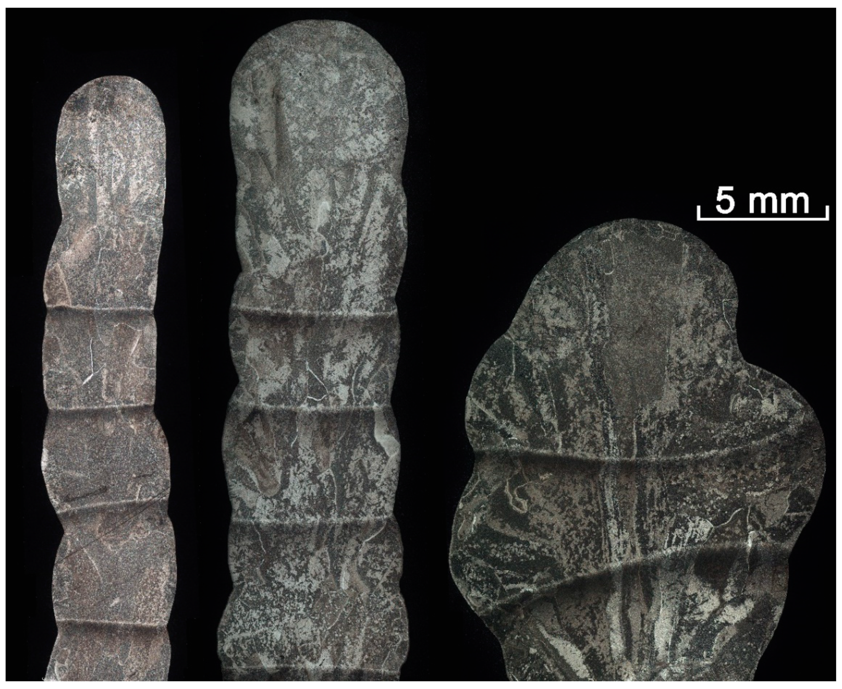 Materials 14 02457 g012 Materials 14 02457 g012