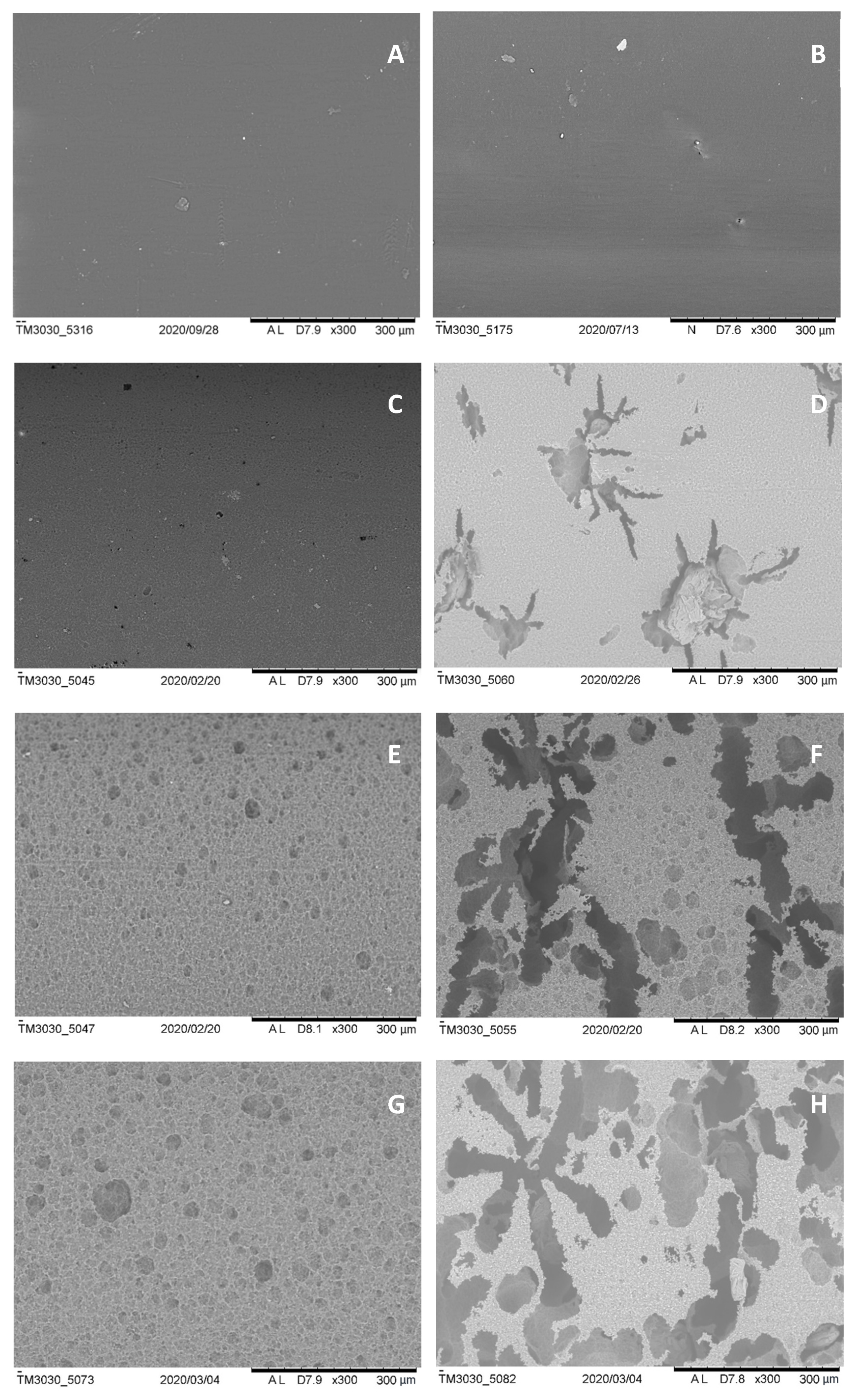 Materials 14 02460 g004