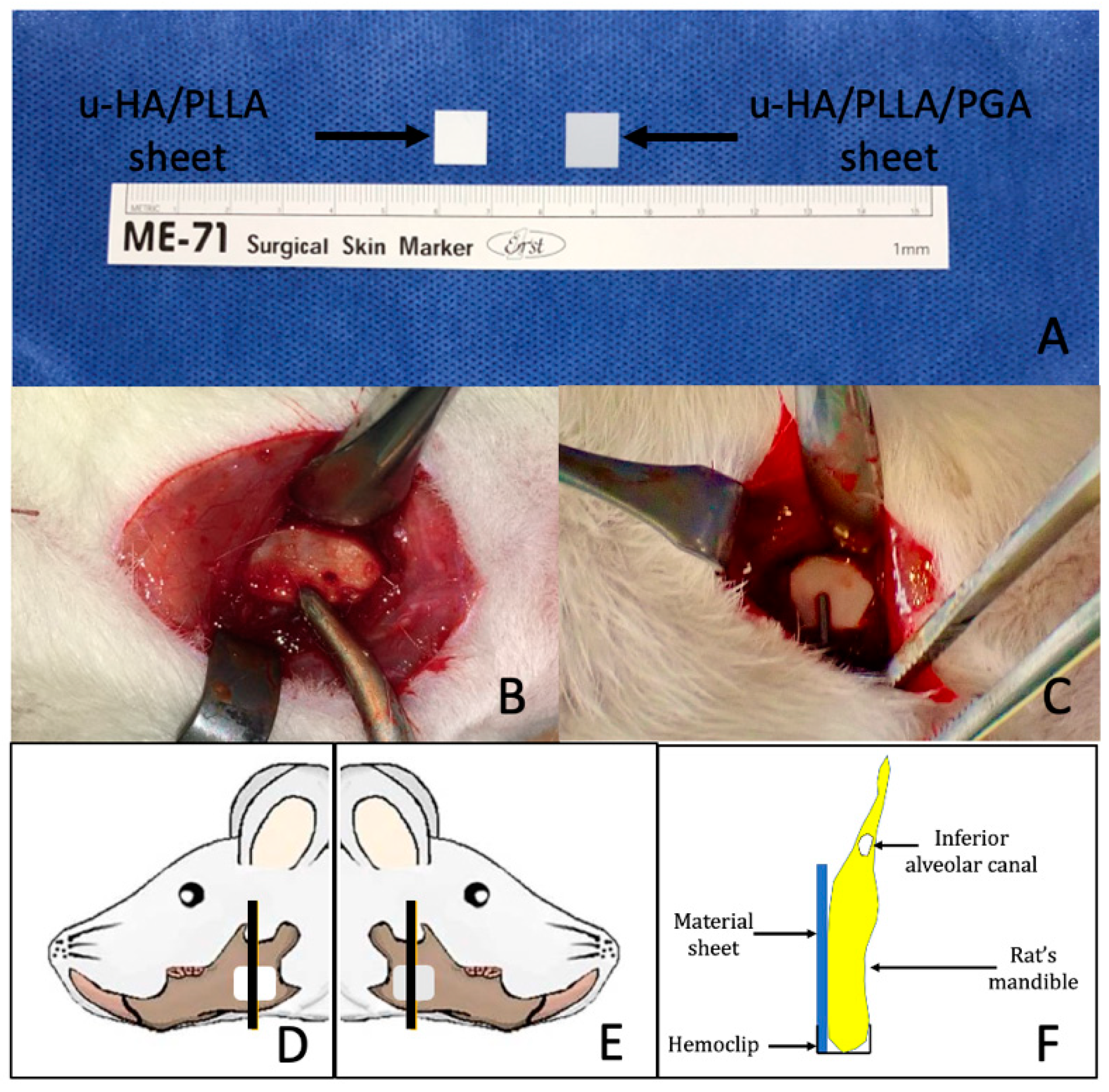 Materials 14 02461 g001