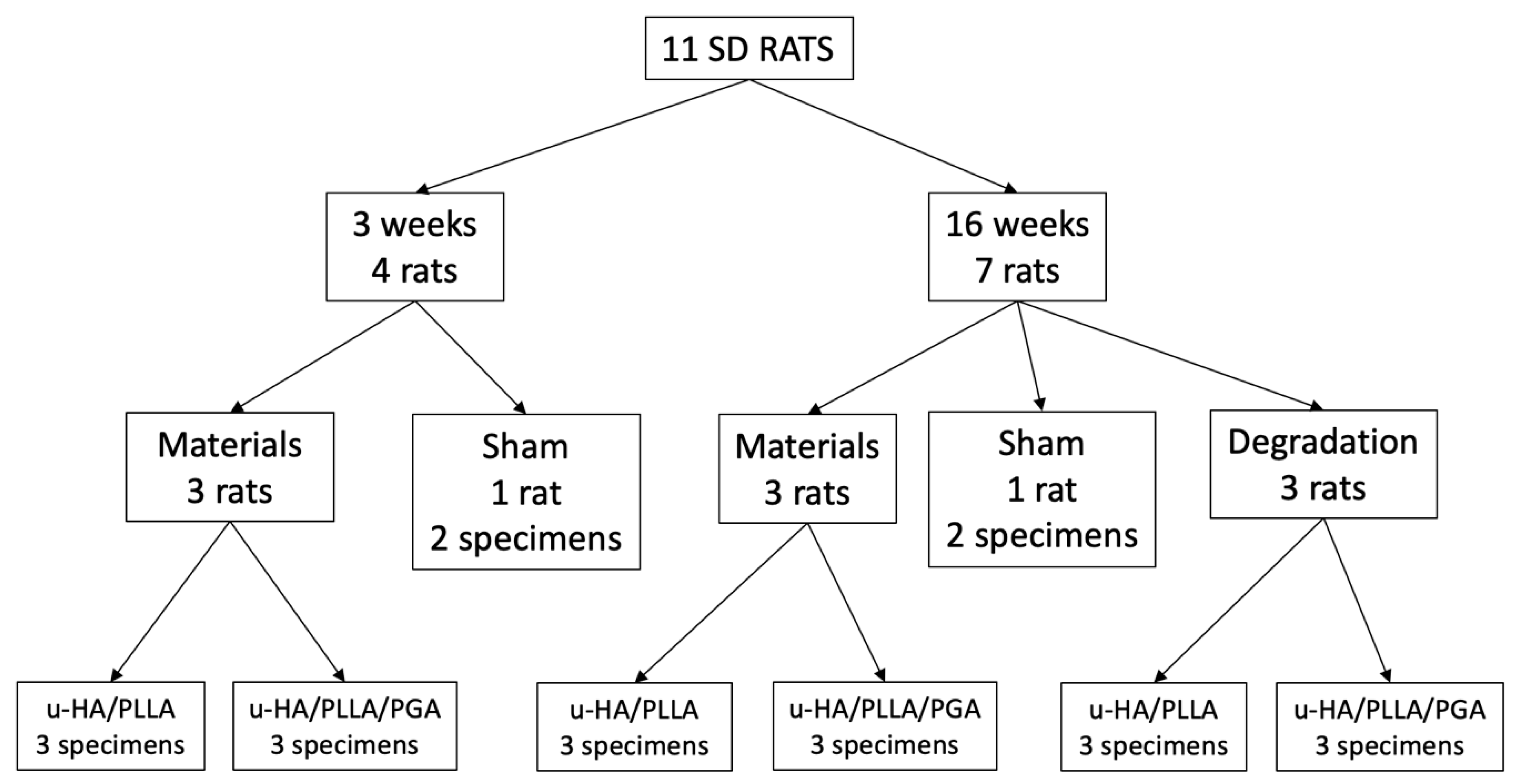 Materials 14 02461 g002