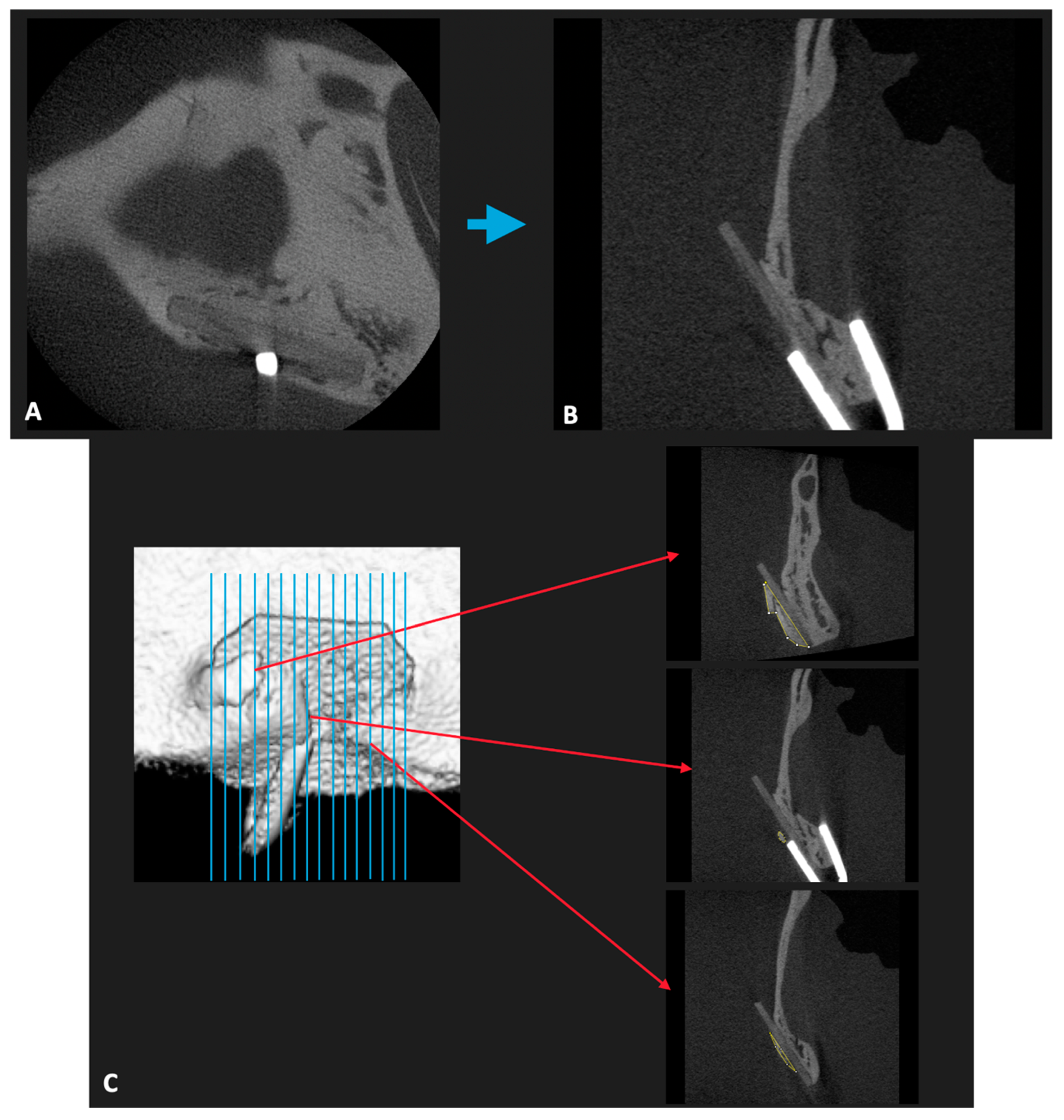 Materials 14 02461 g003