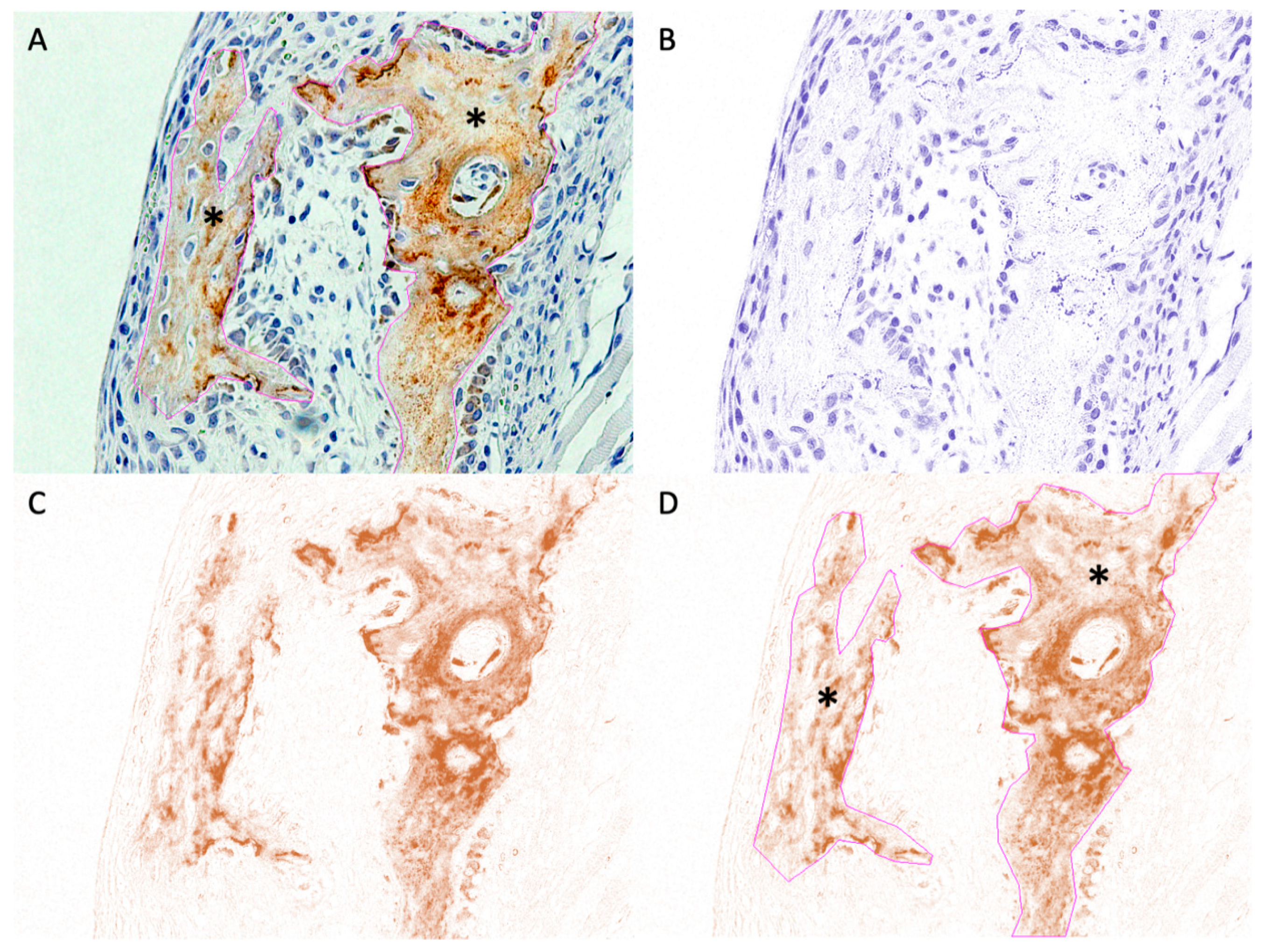 Materials 14 02461 g004