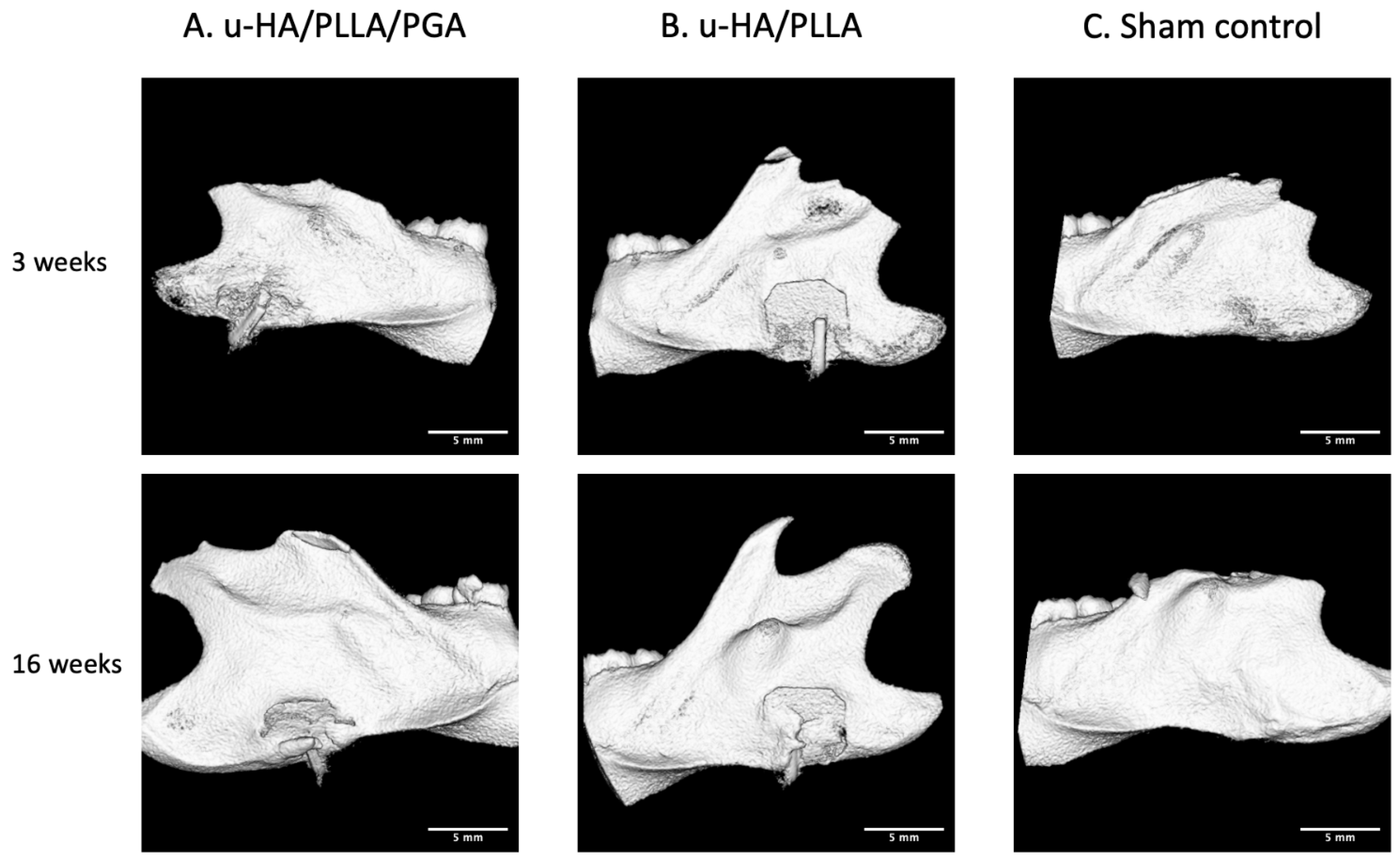 Materials 14 02461 g005