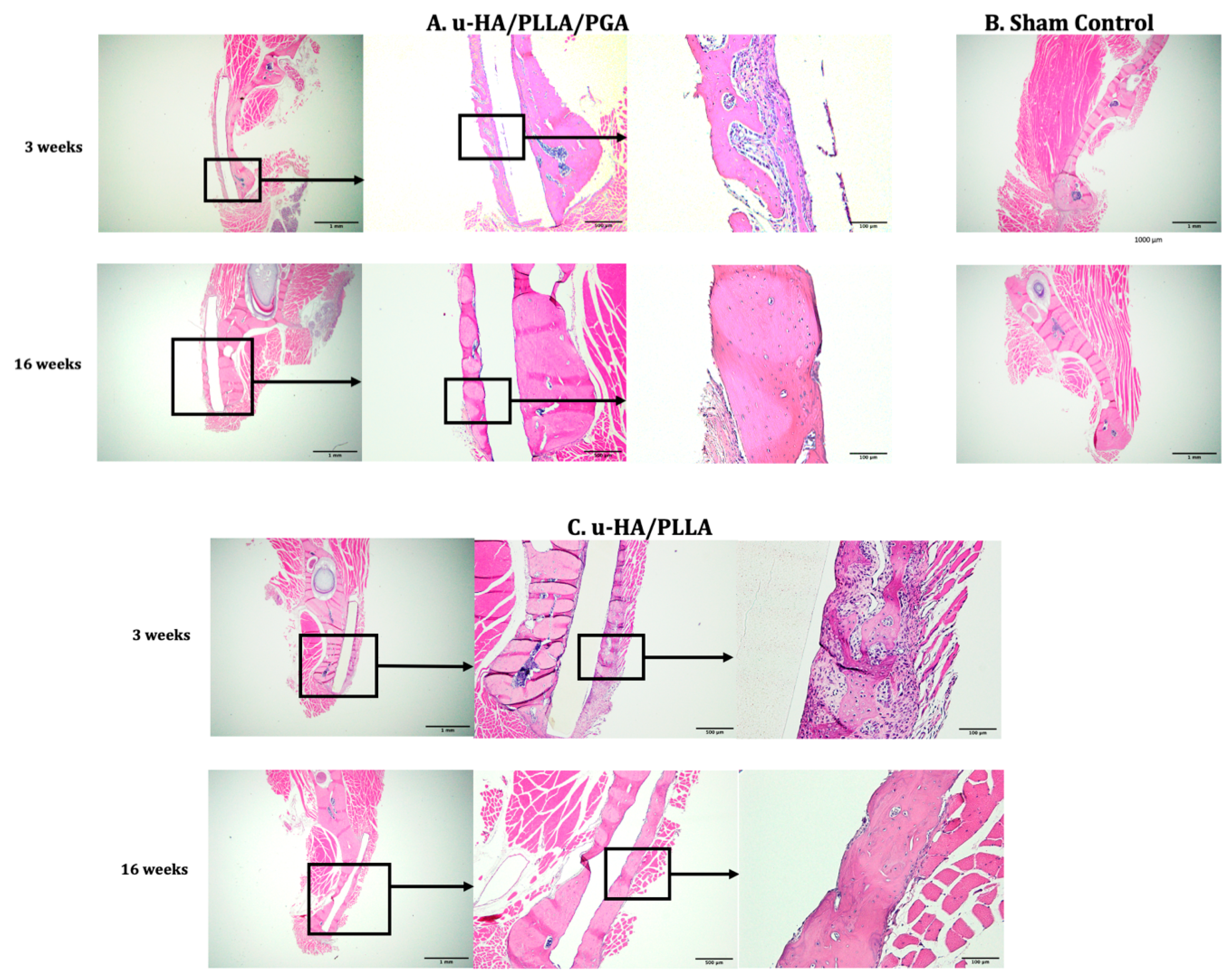 Materials 14 02461 g007