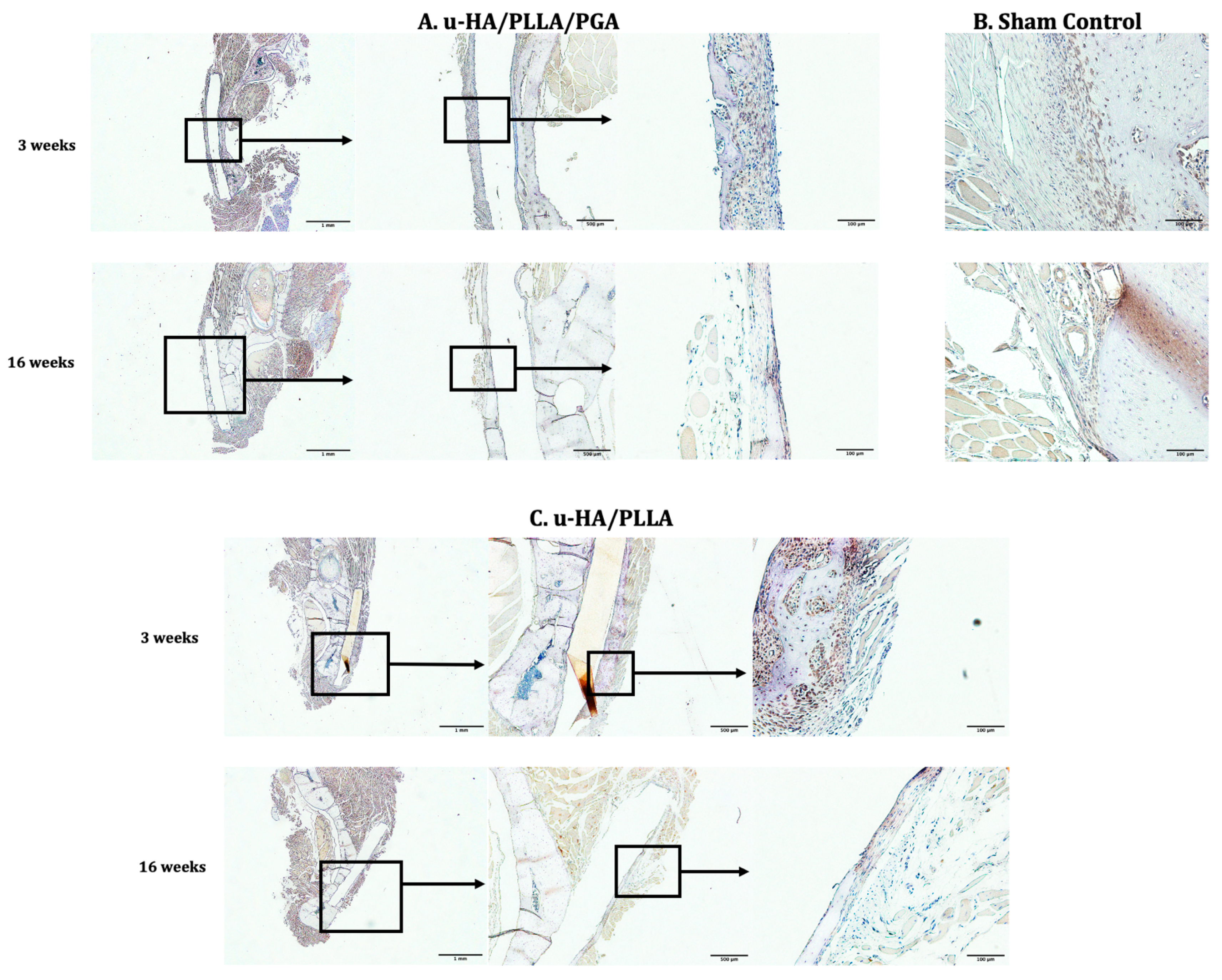 Materials 14 02461 g008