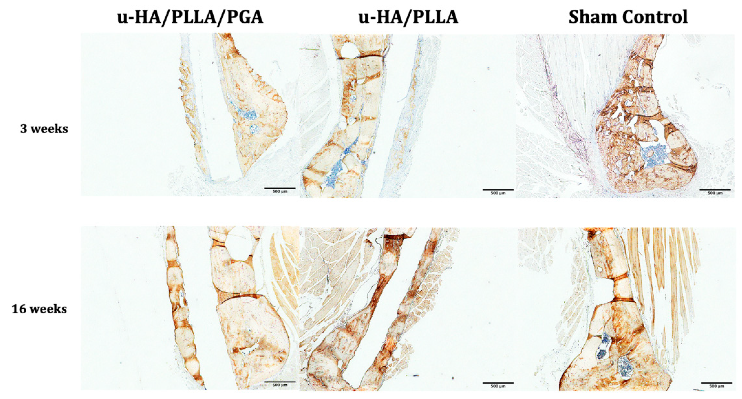 Materials 14 02461 g010