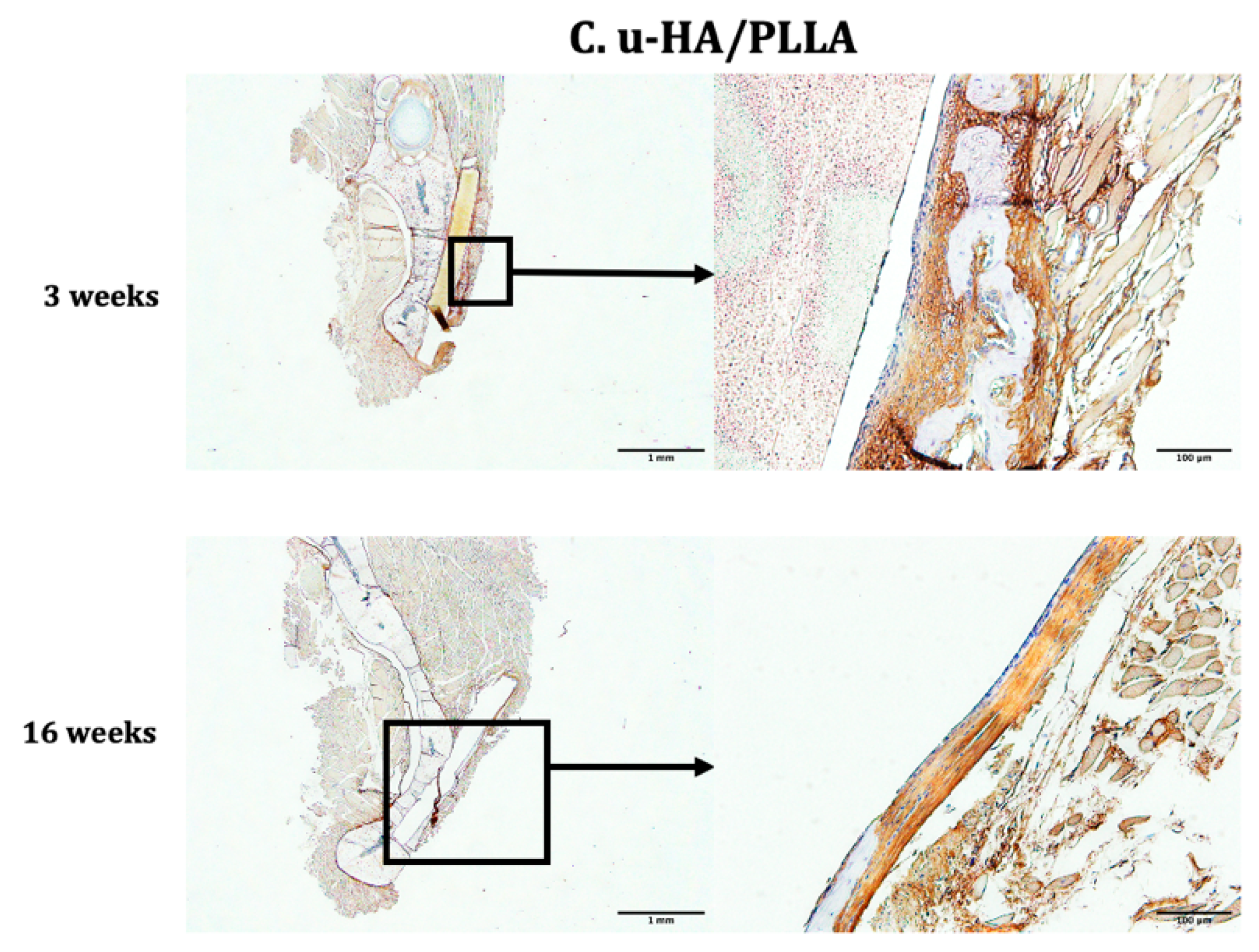 Materials 14 02461 g012b
