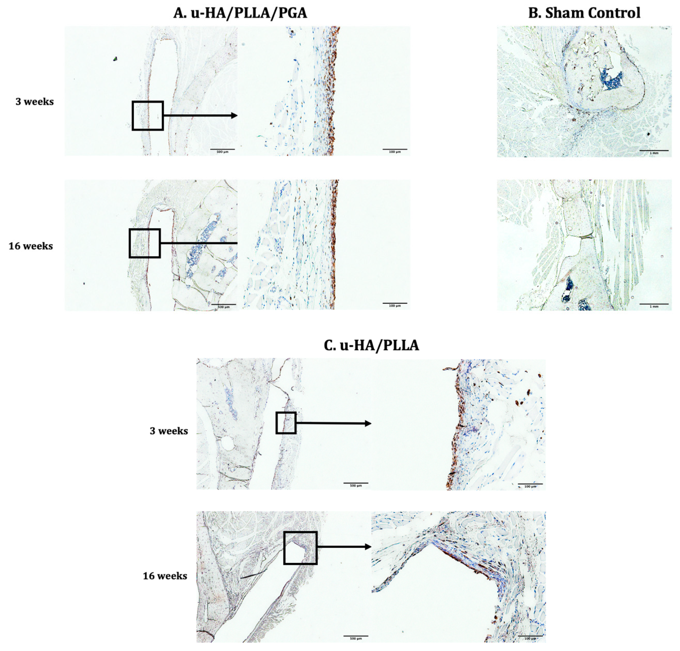 Materials 14 02461 g014