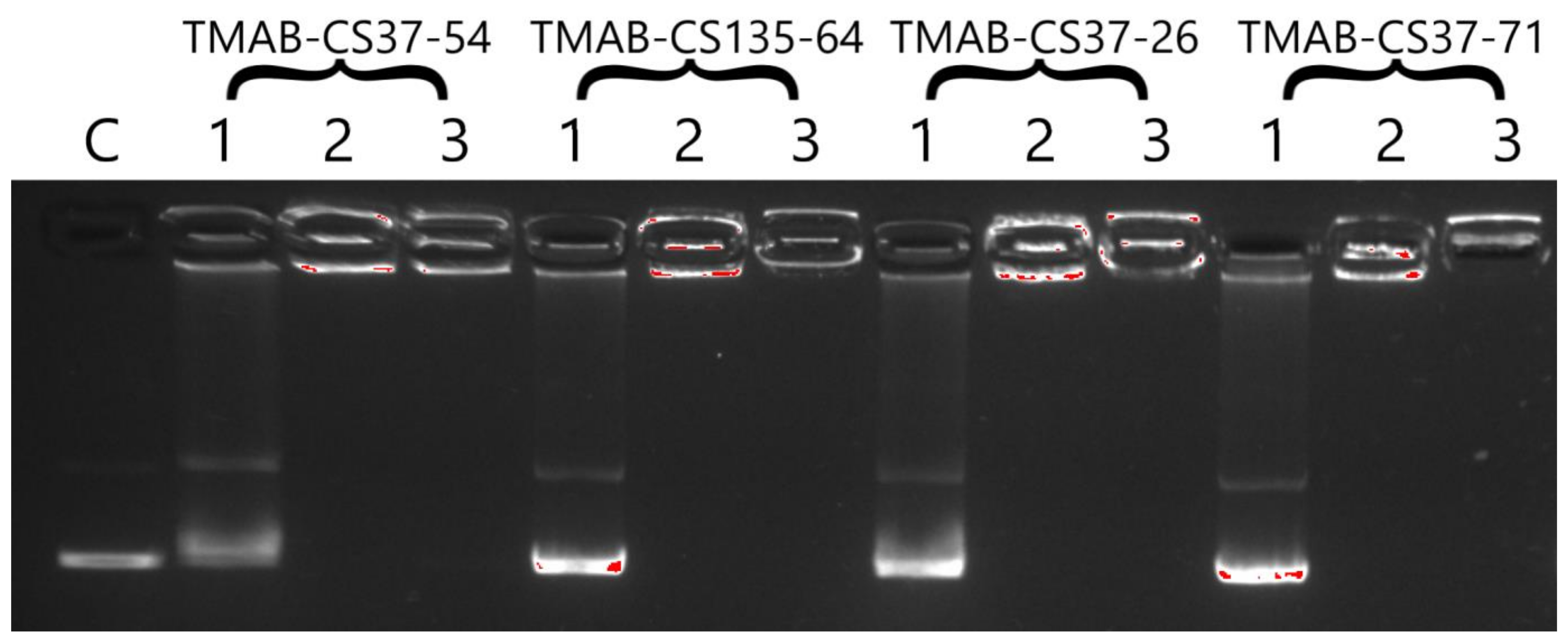 Materials 14 02467 g003