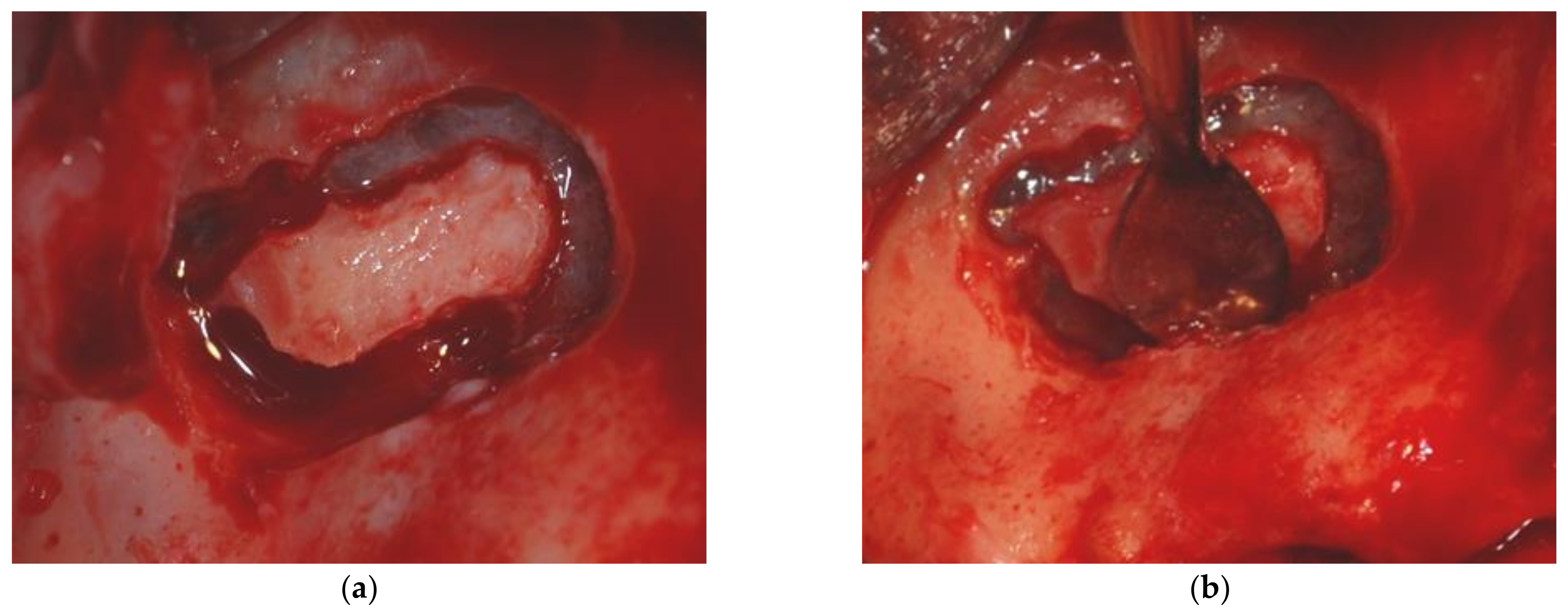 Materials 14 02479 g001