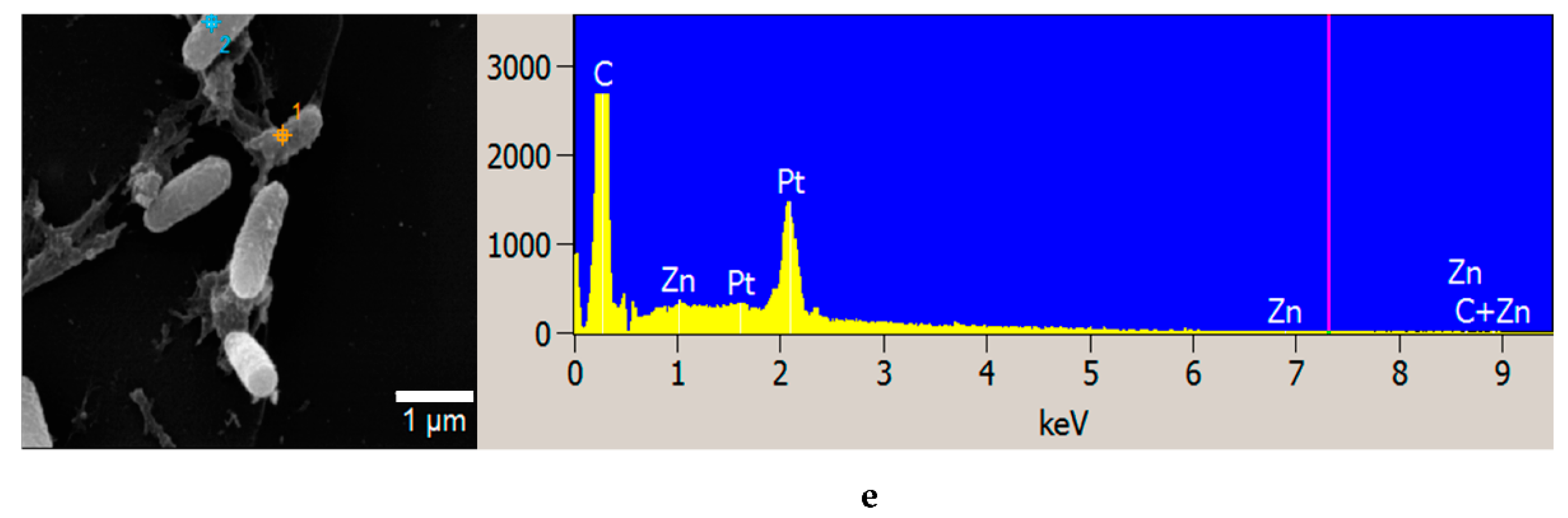 Materials 14 02489 g004b