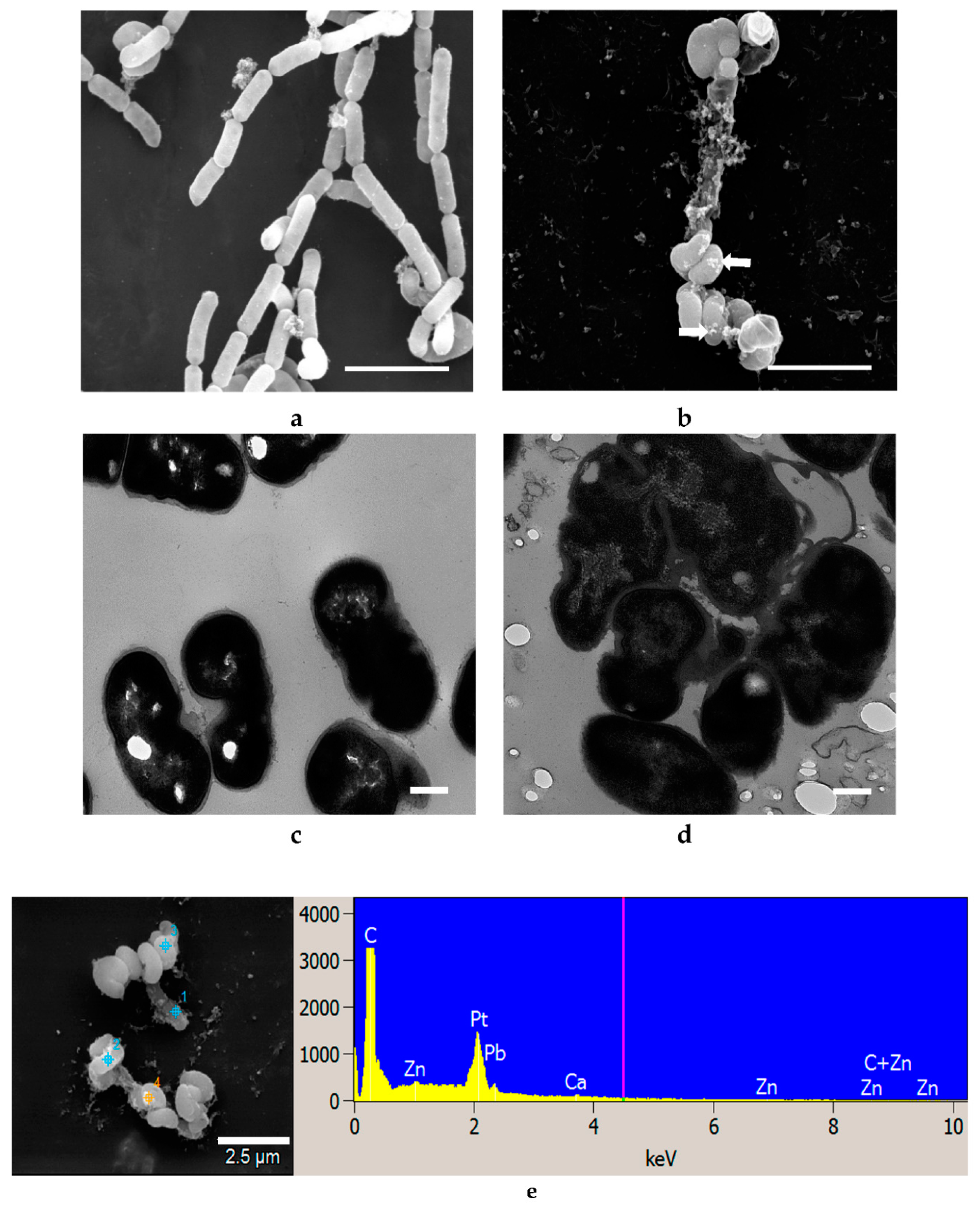 Materials 14 02489 g006