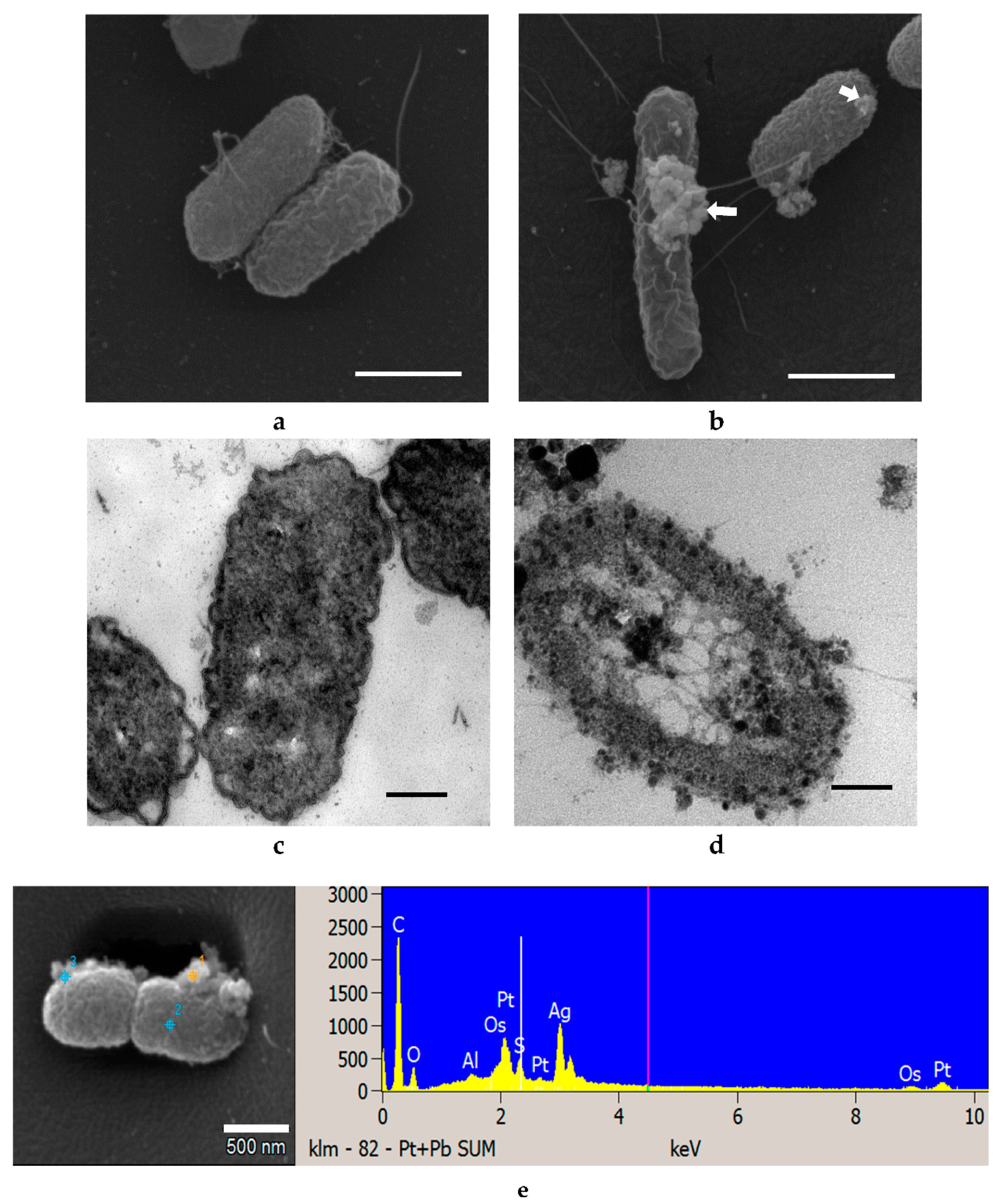 Materials 14 02489 g007