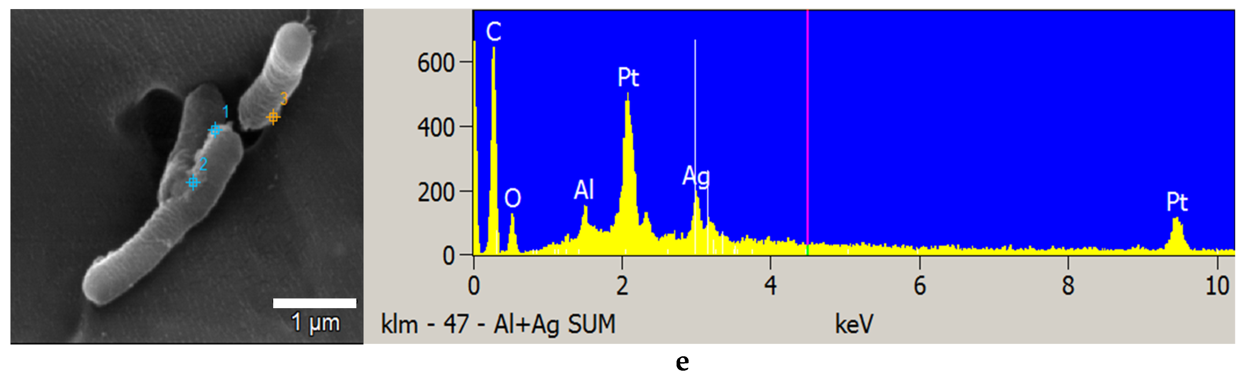 Materials 14 02489 g009b