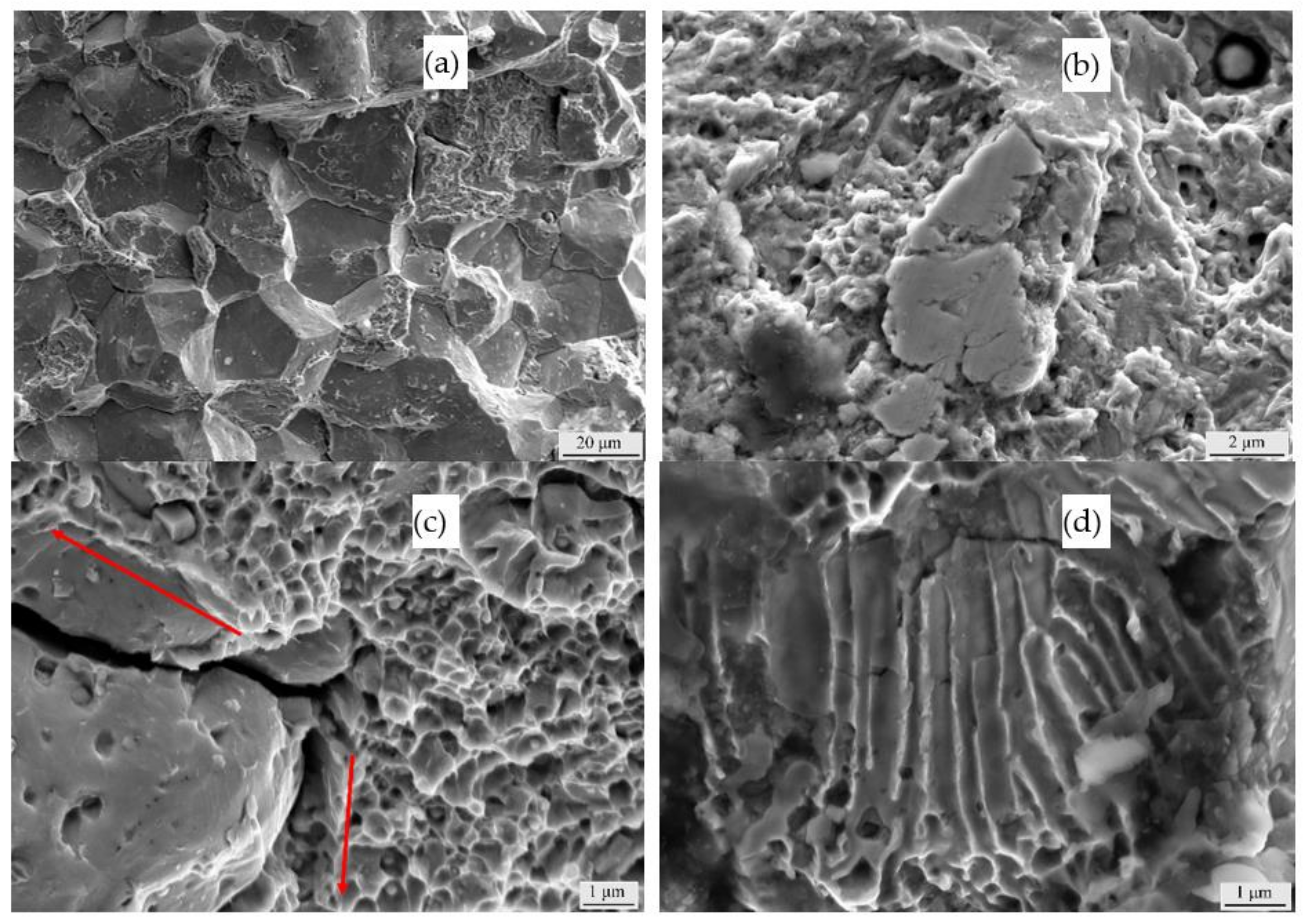 Materials 14 02516 g008