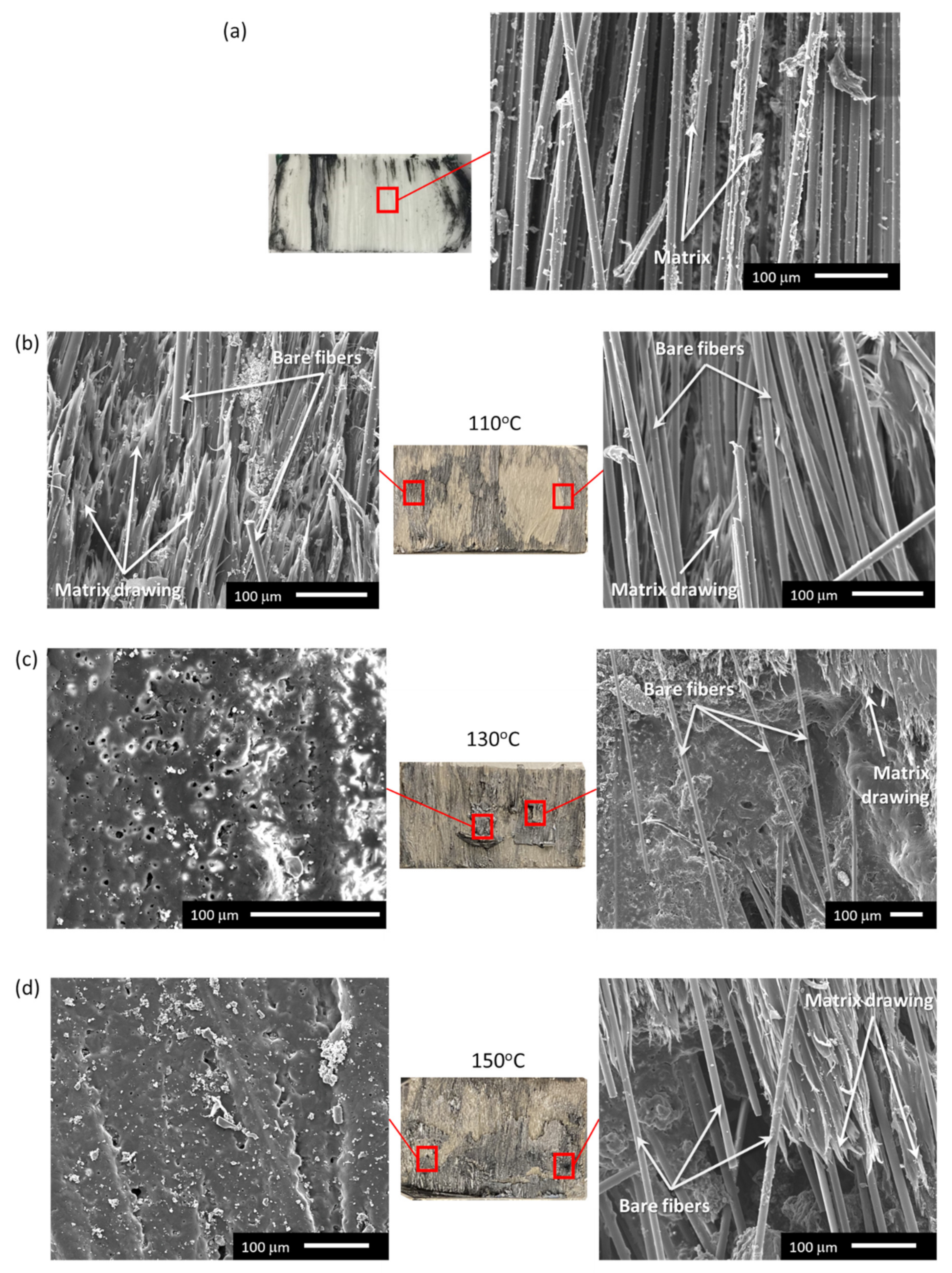 Materials 14 02521 g012