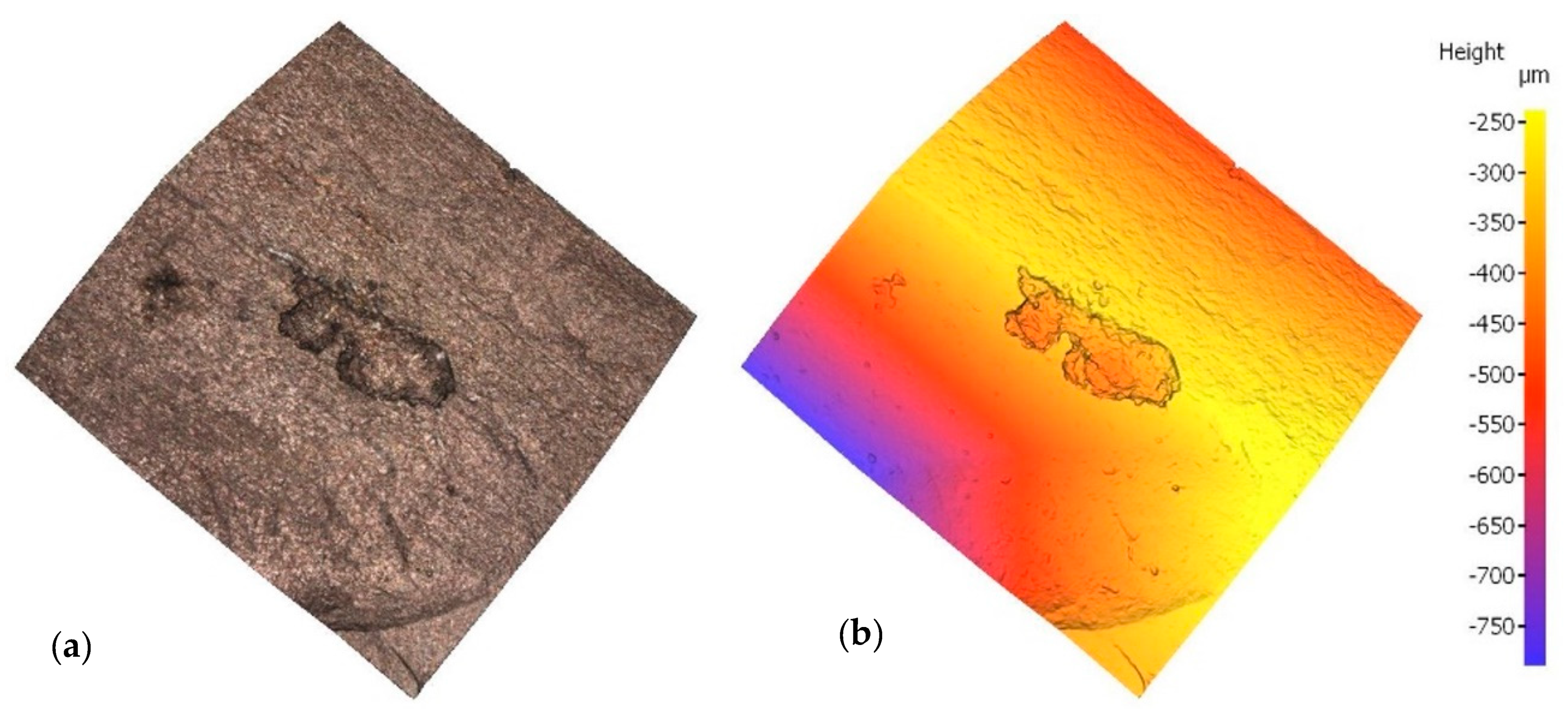 Materials 14 02547 g004
