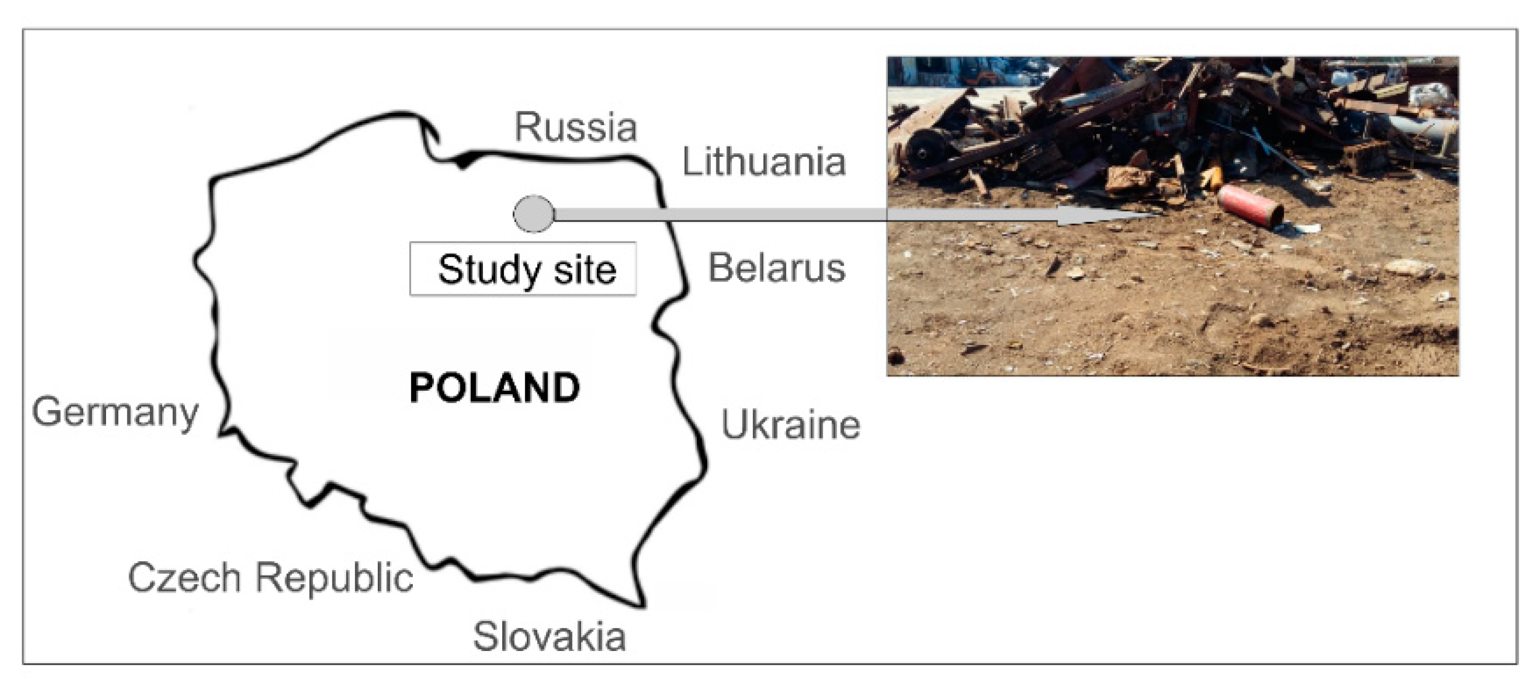 Materials 14 02559 g001