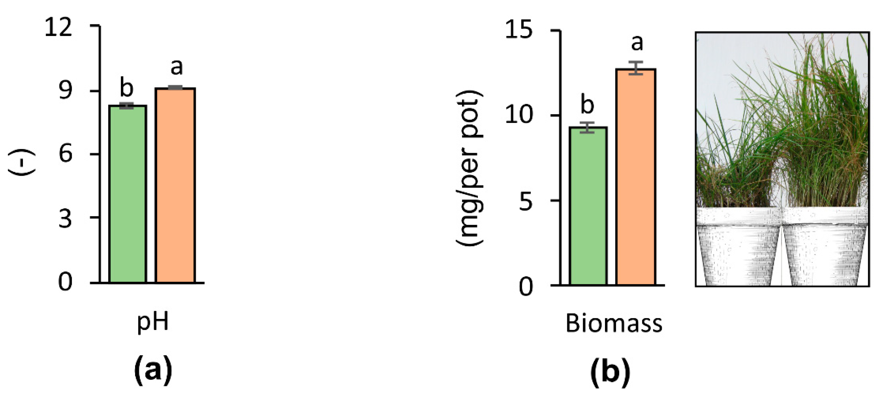 Materials 14 02559 g003