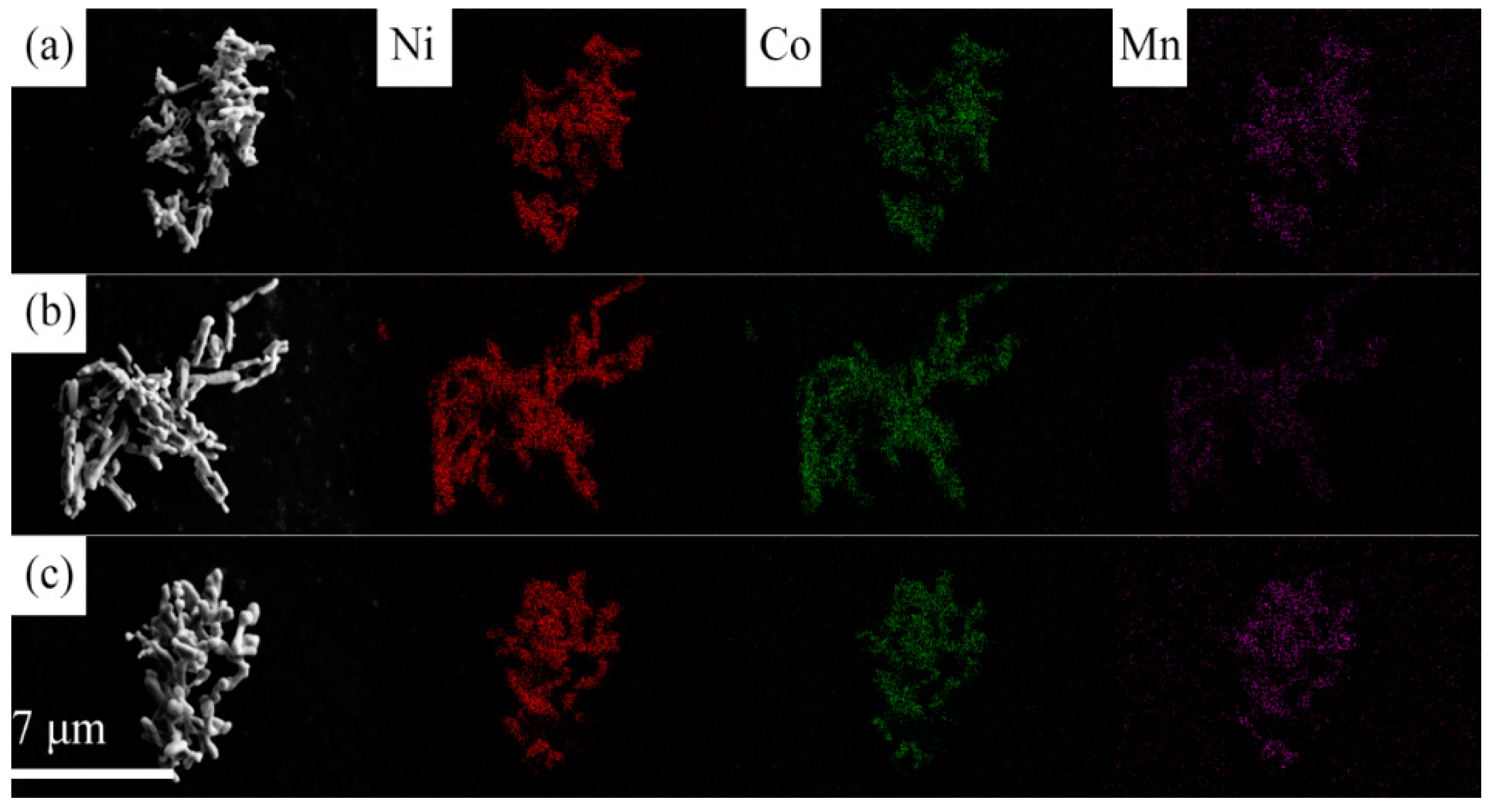 Materials 14 02576 g005