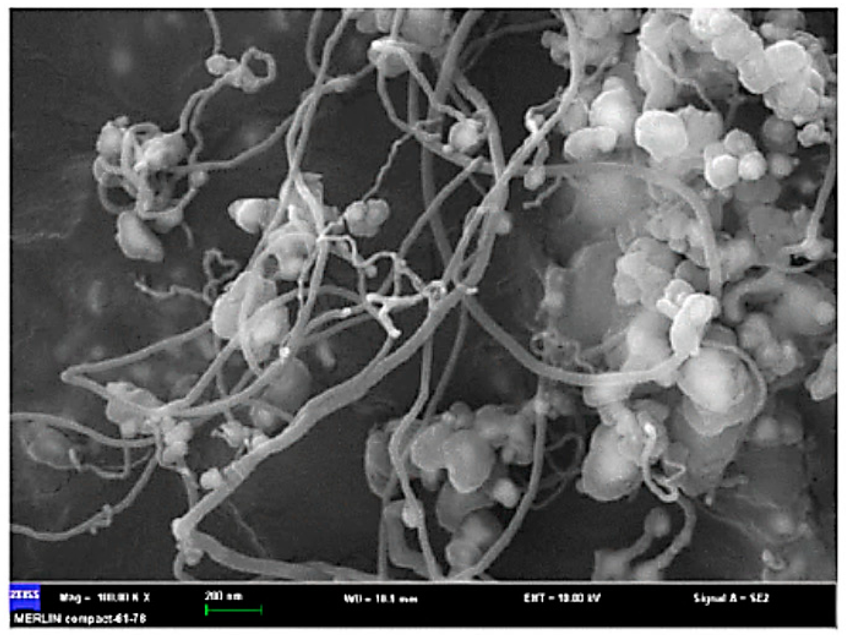 Materials 14 02586 g004 Materials 14 02586 g004