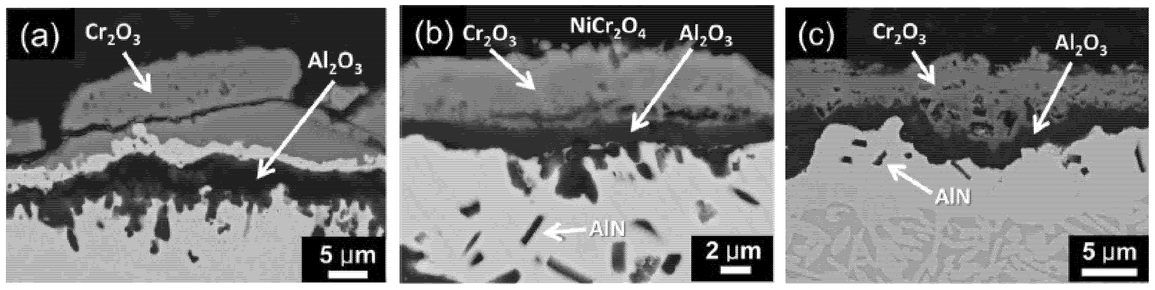 Materials 14 02595 g003 Materials 14 02595 g003