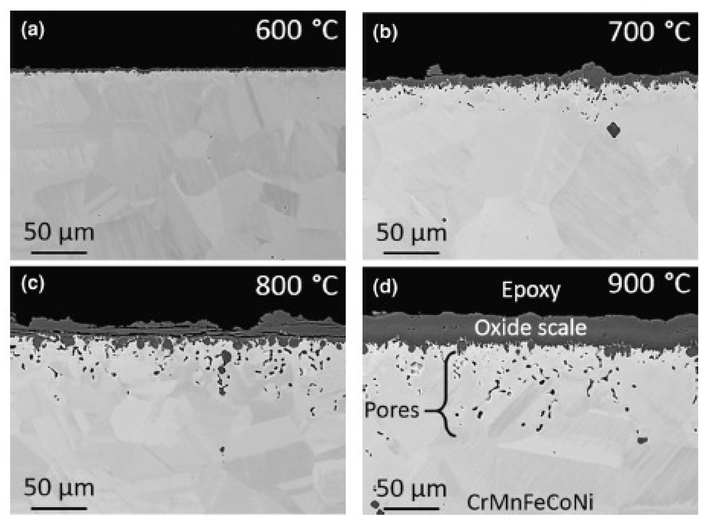 Materials 14 02595 g009 Materials 14 02595 g009